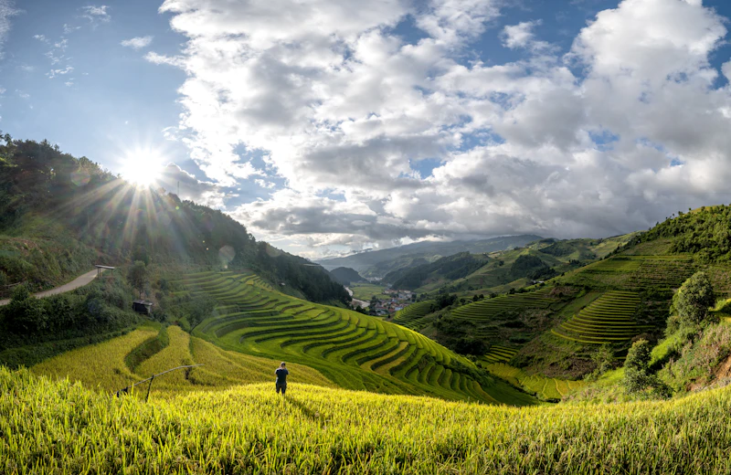 Mu Cang Chai Travel Guide 2026