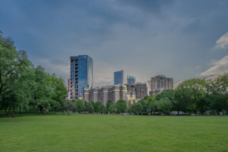 Spacious lot with green grass and trees, ready for construction in the metropolitan area.