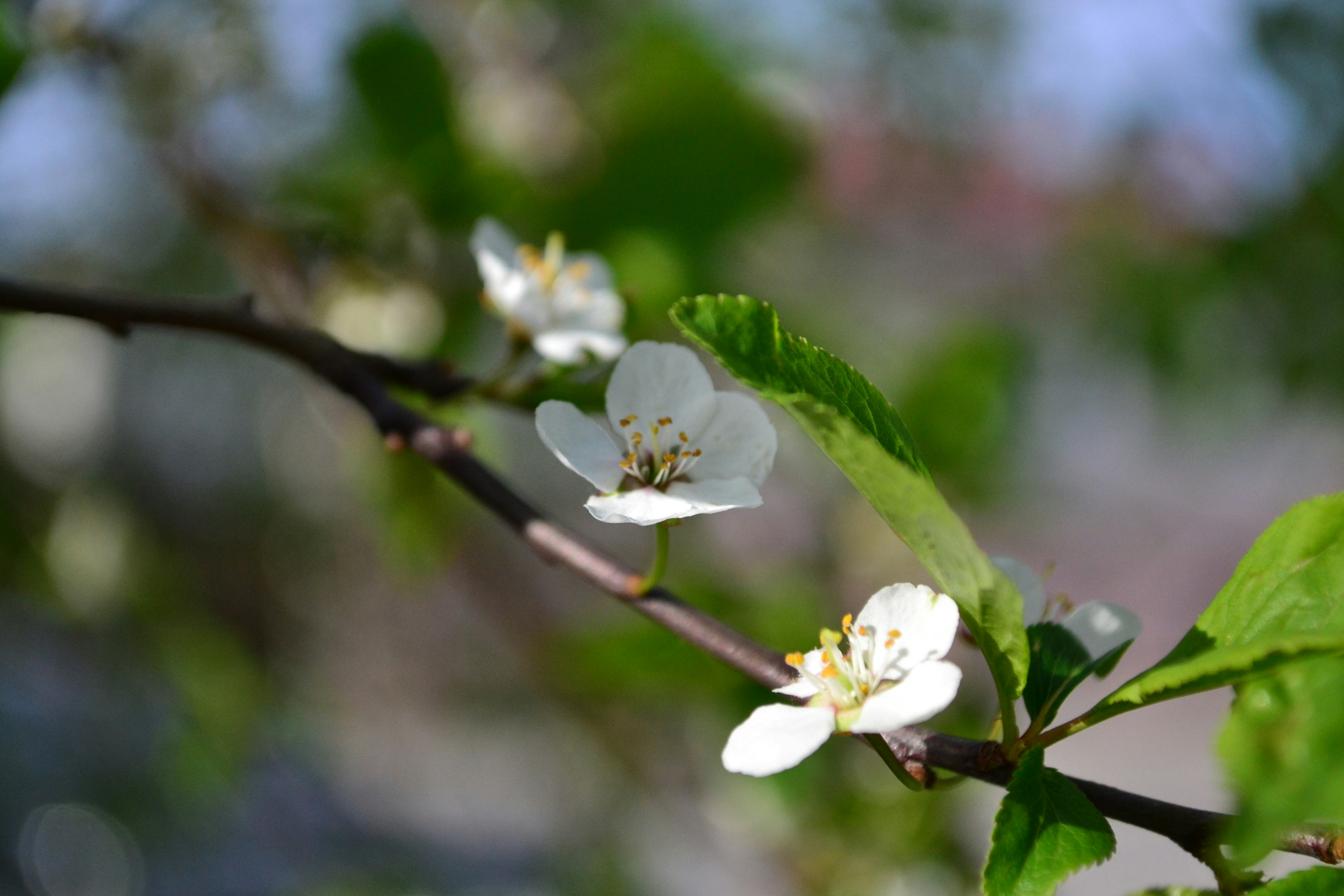 Photo by ksushaphoto
