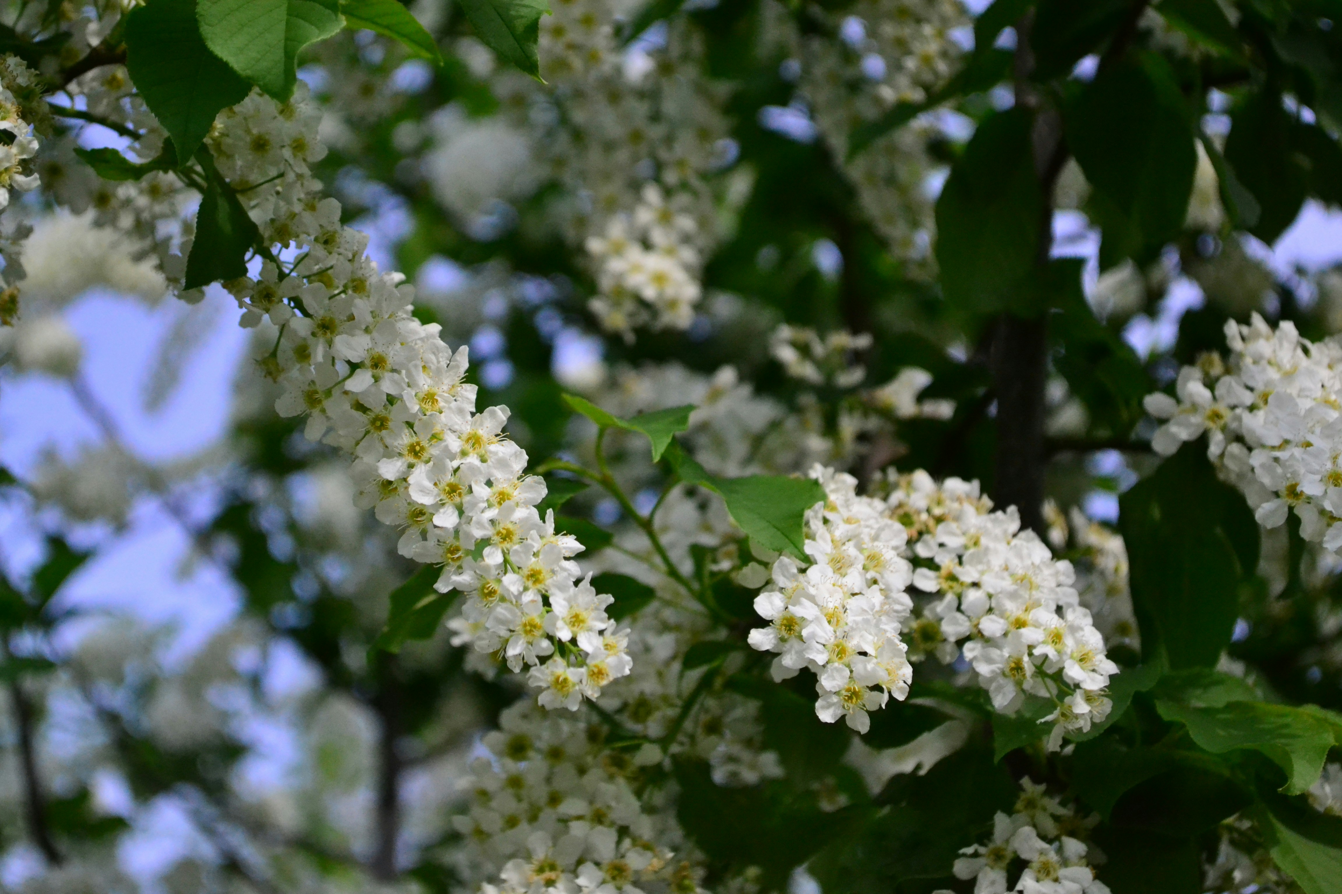 Photo by ksushaphoto