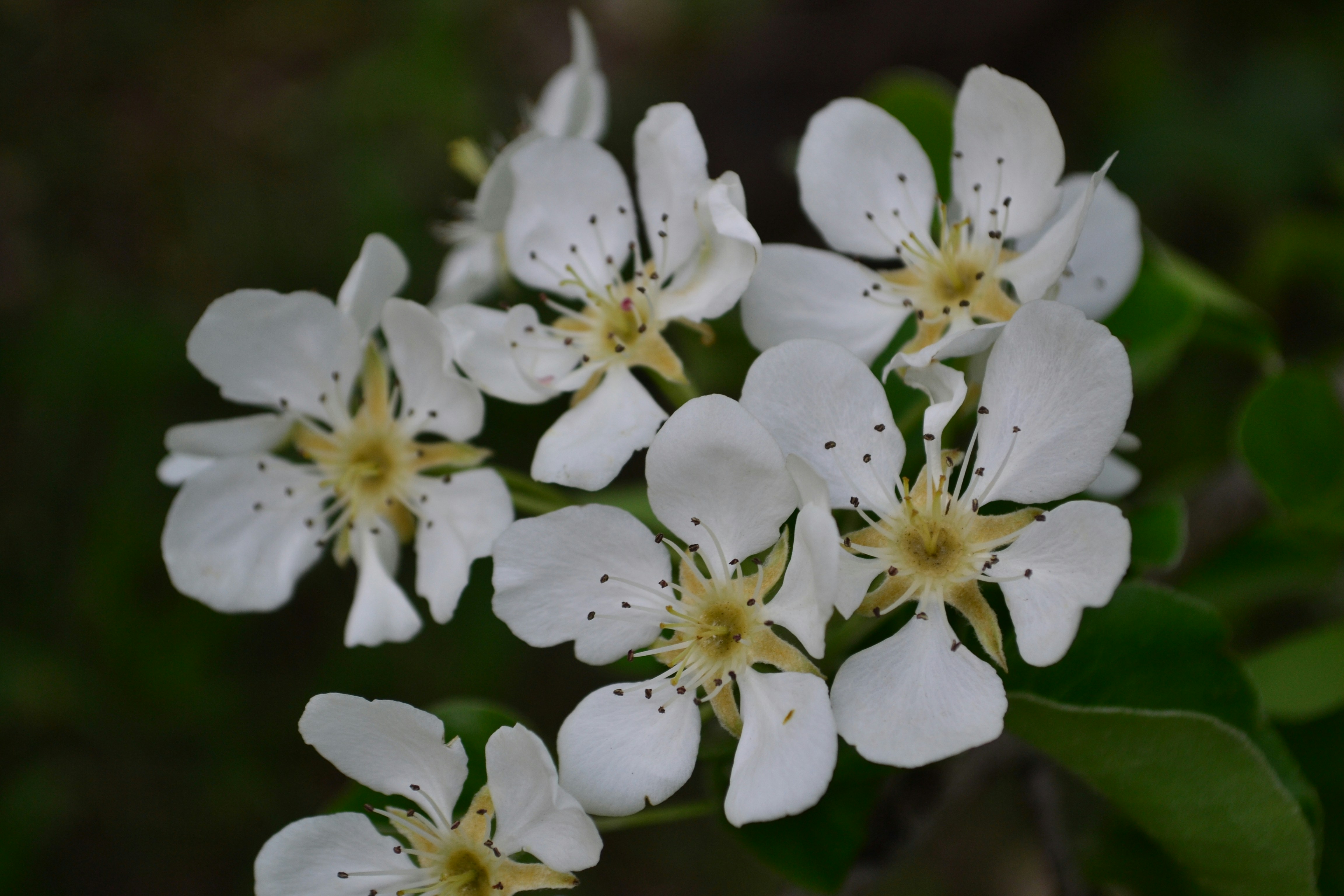 Photo by ksushaphoto