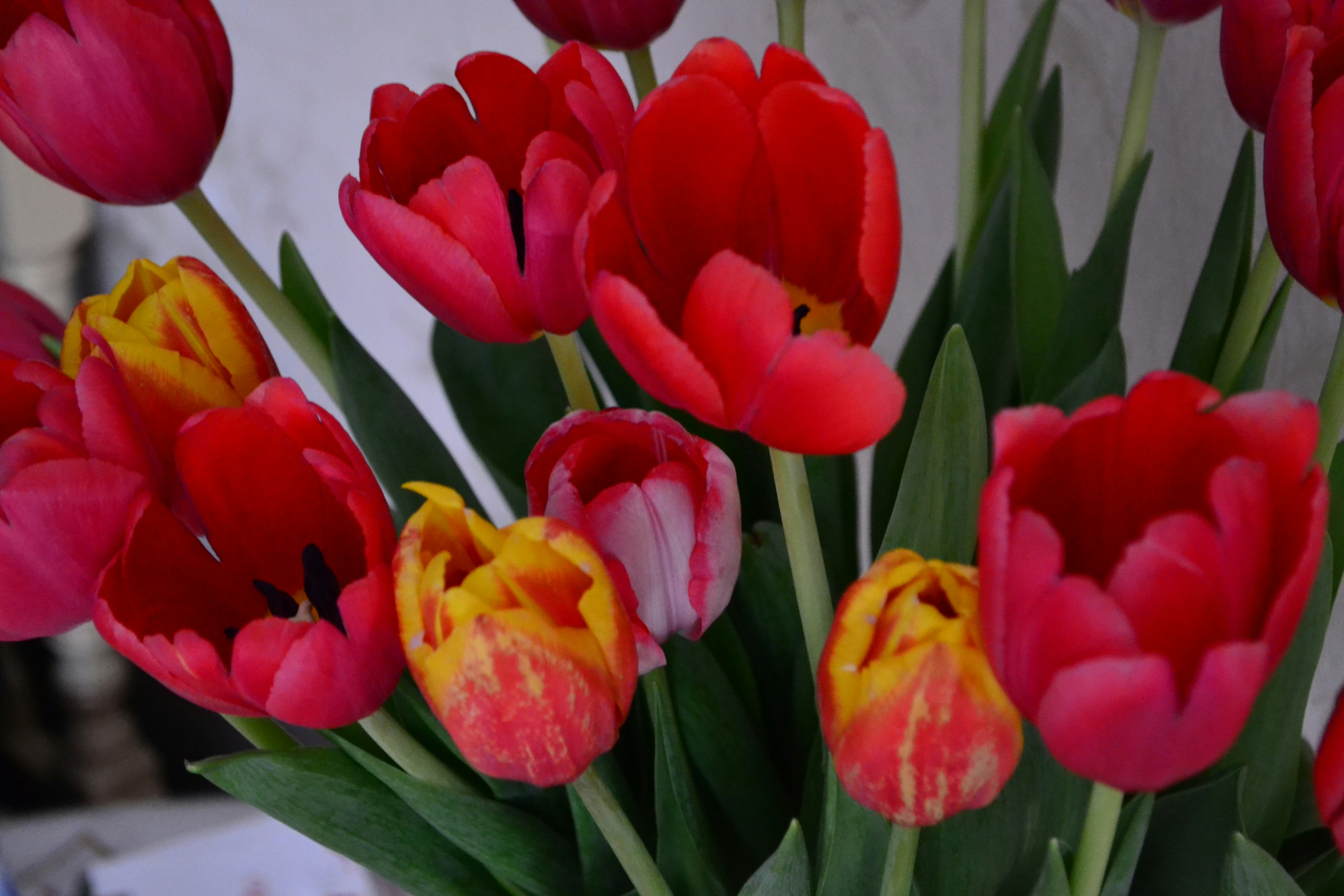 Photo by ksushaphoto