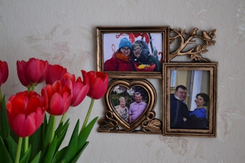 A decorative photo frame with three pictures is displayed on a textured wall. The frame features intricate designs with birds and leaves, and is made of a bronze or gold-colored material. To the left of the frame is a bouquet of bright red tulips with green stems.