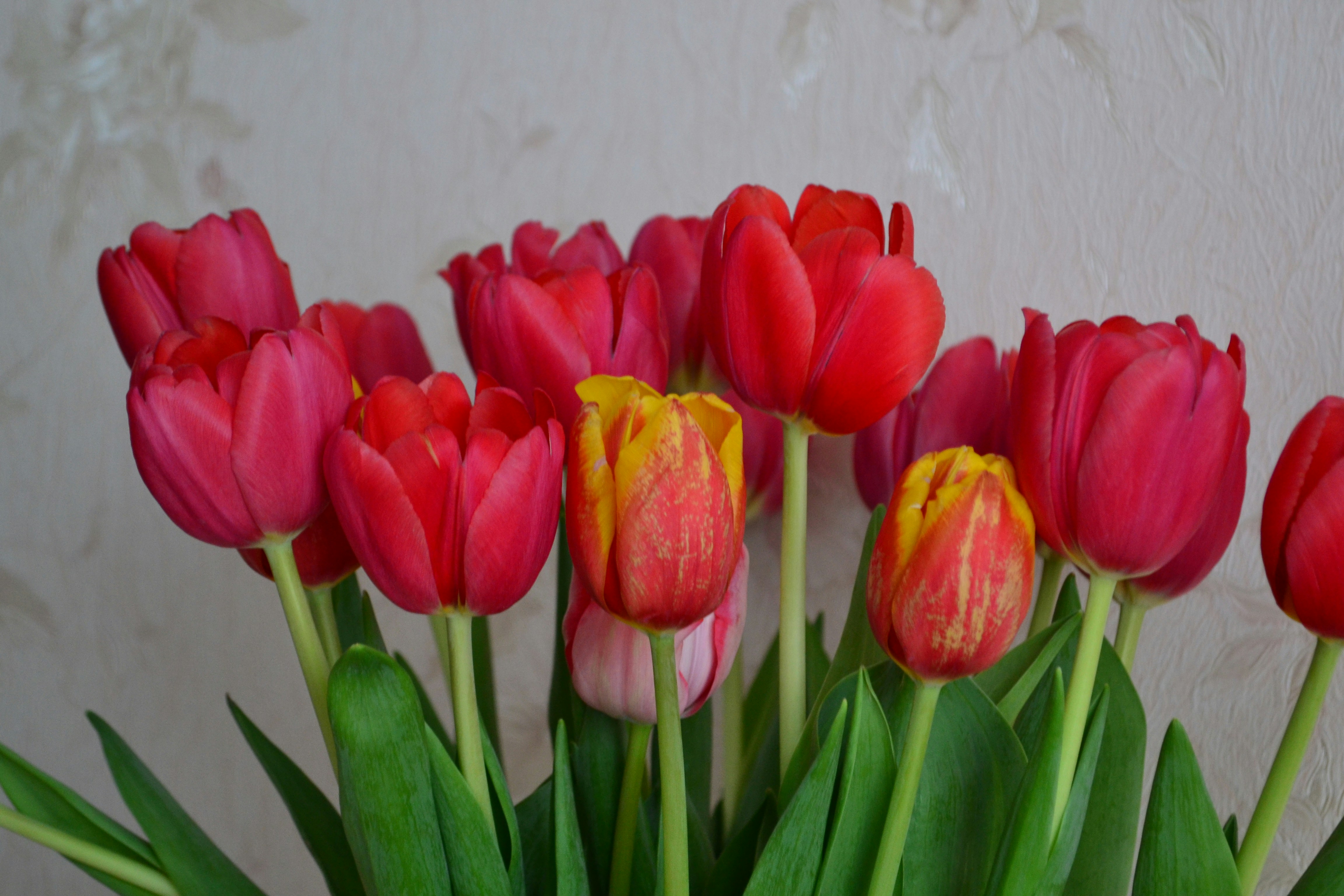 Photo by ksushaphoto