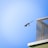 A bird is in mid-flight against a clear blue sky, near the corner of a building with a mesh screen structure.