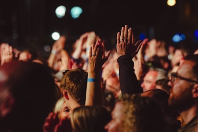 Crowd at a hartstroke concert, hands raised and immersed in the music.