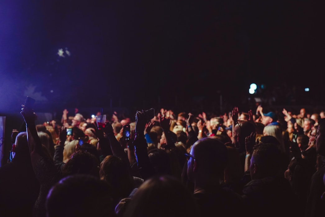 a large crowd of people at a concert