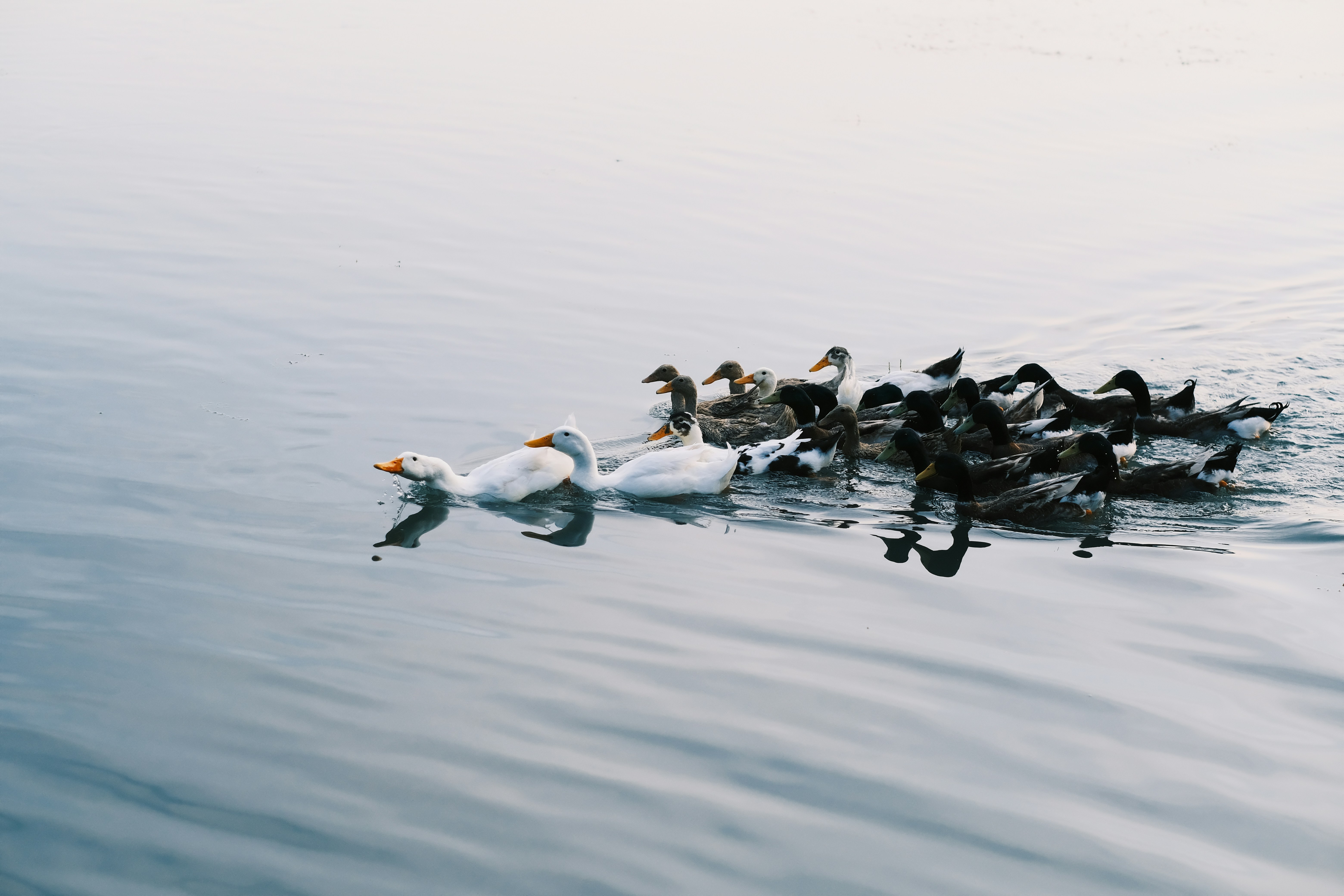 Photo by maycloudbackup