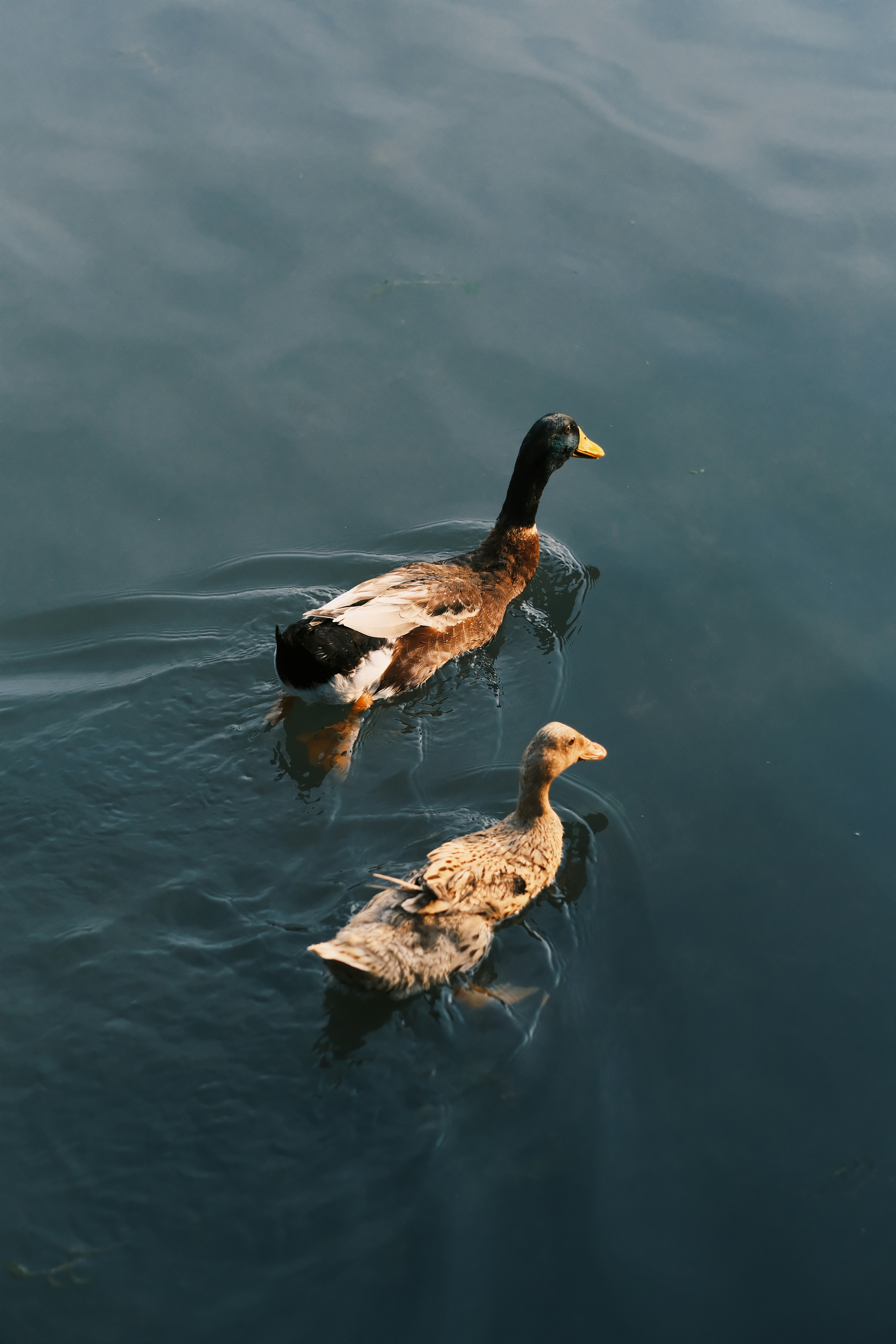 Photo by maycloudbackup