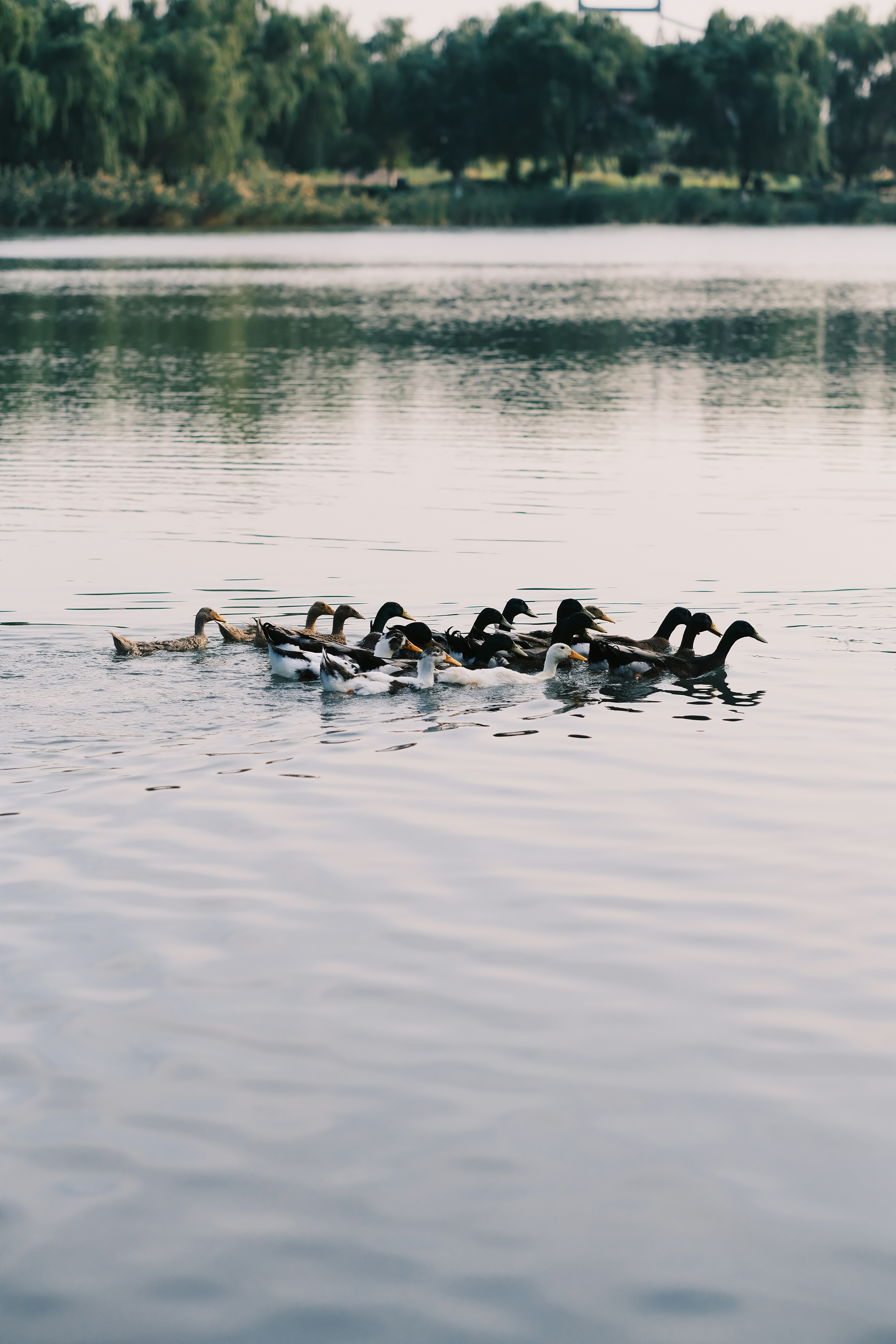 Photo by maycloudbackup