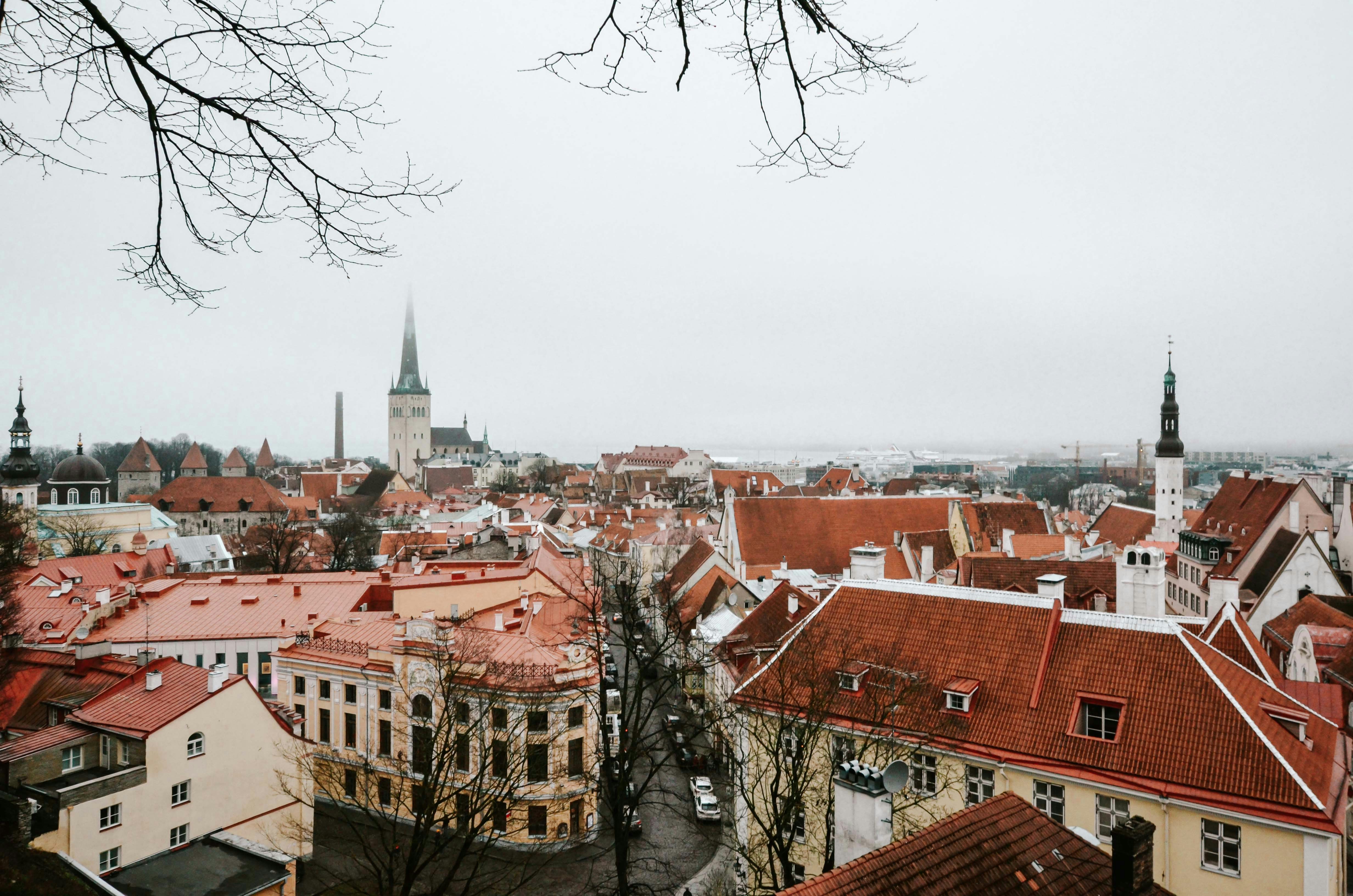 Photo by painapostudio