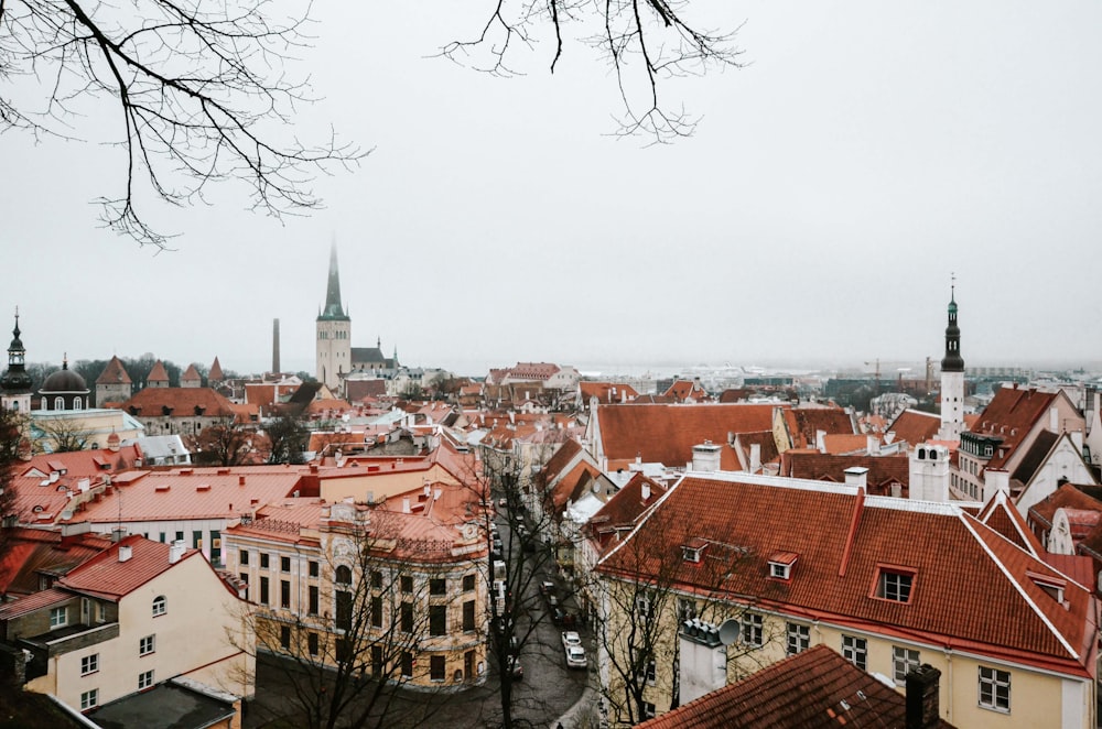 a view of a city with red roofs