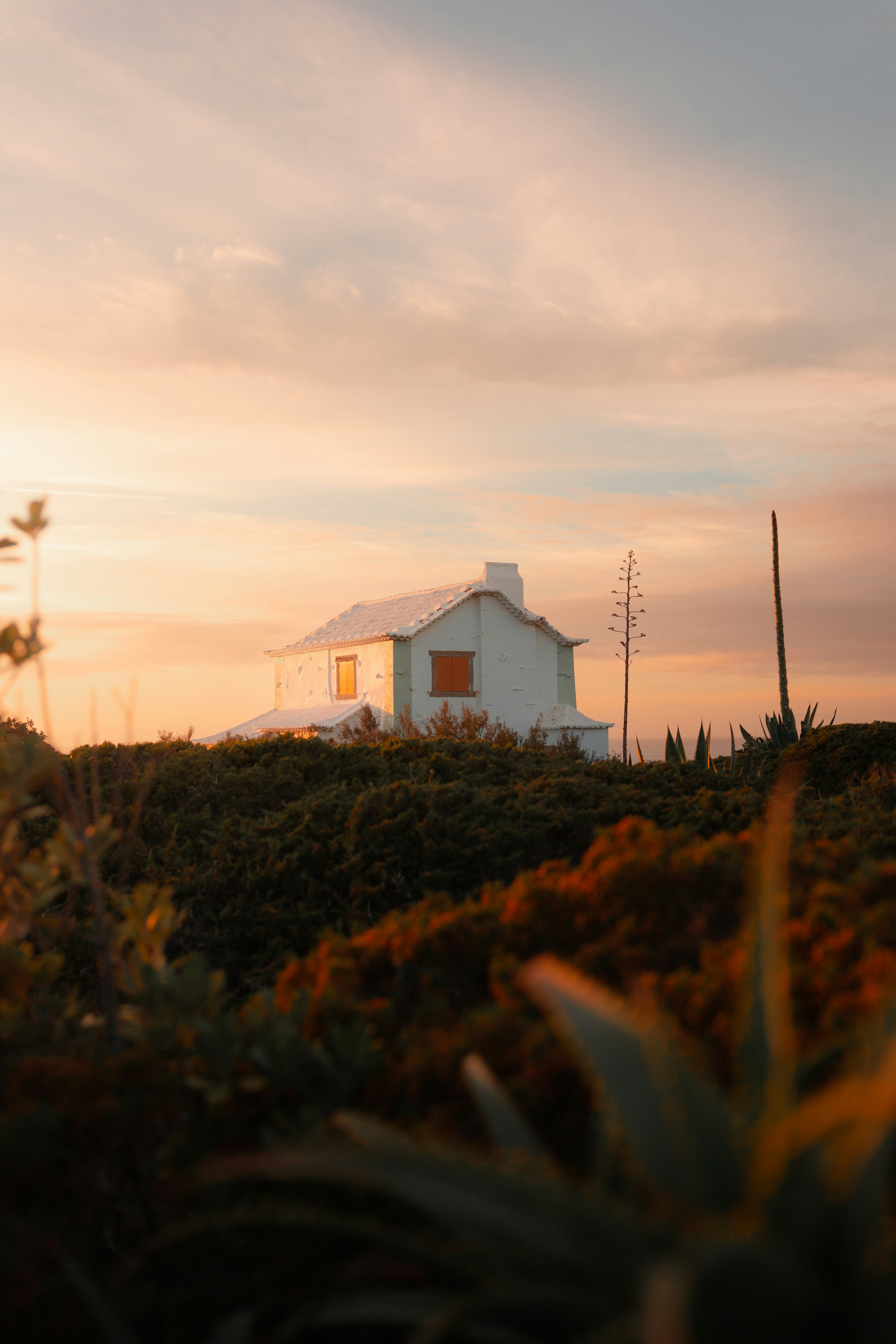 Photo by danieljschwarz