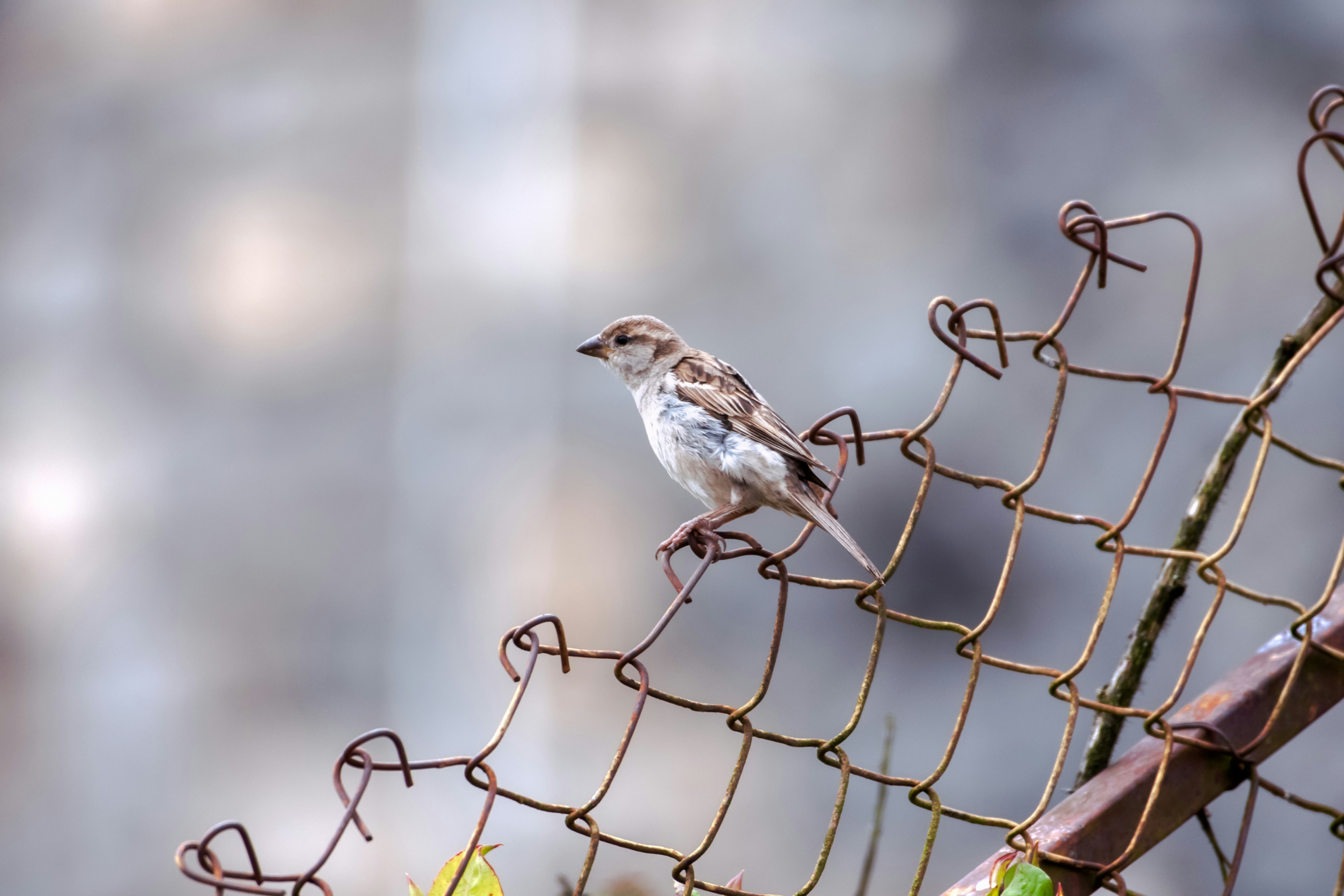 Photo by mhphotography13