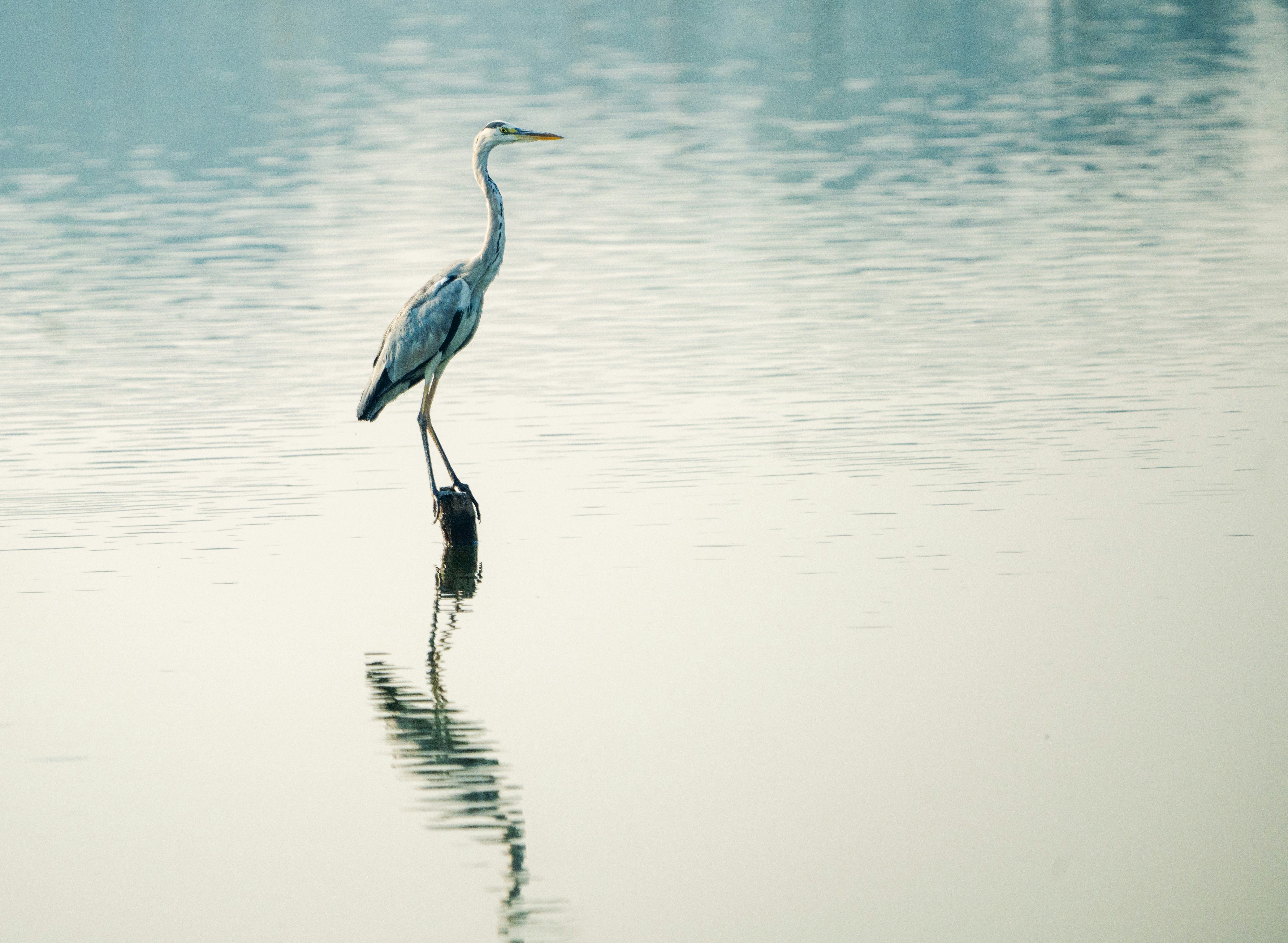 Photo by mhphotography13