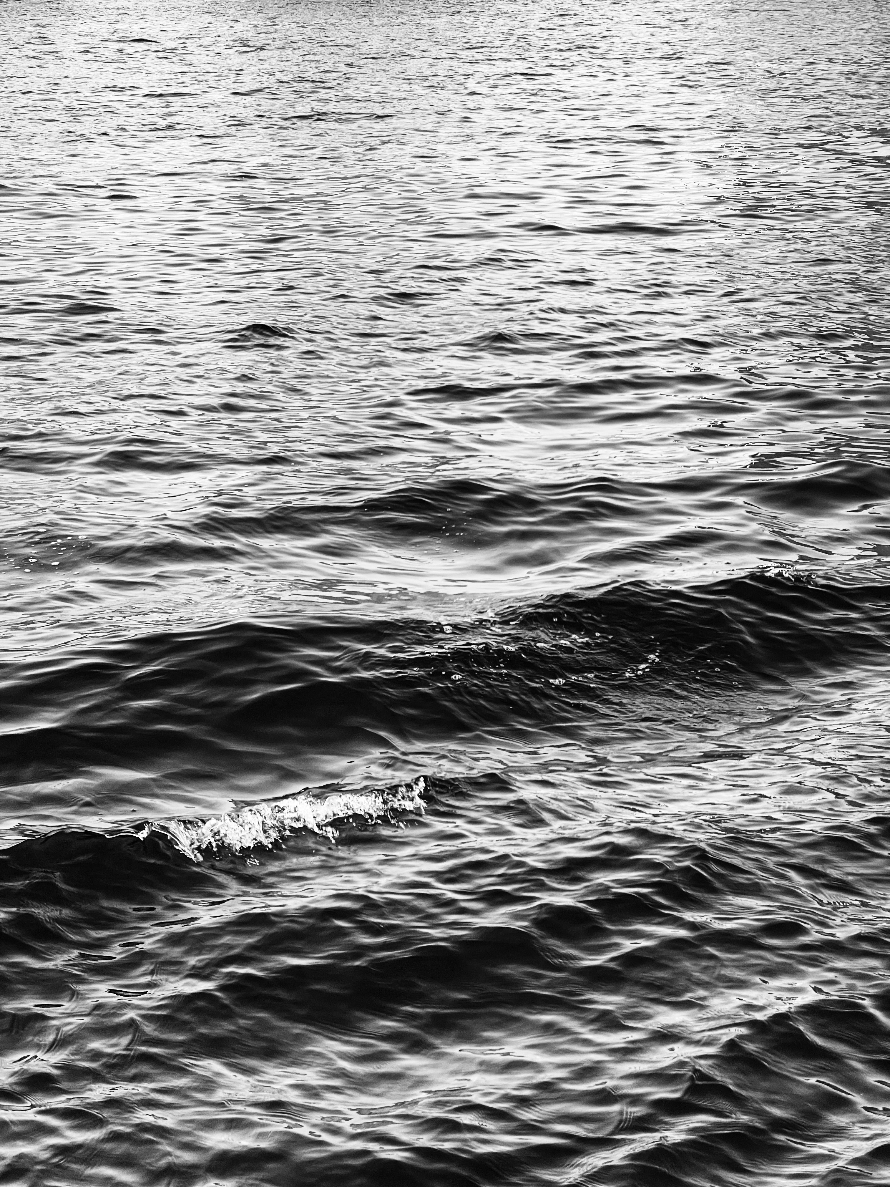 Photo by salman_sidheek