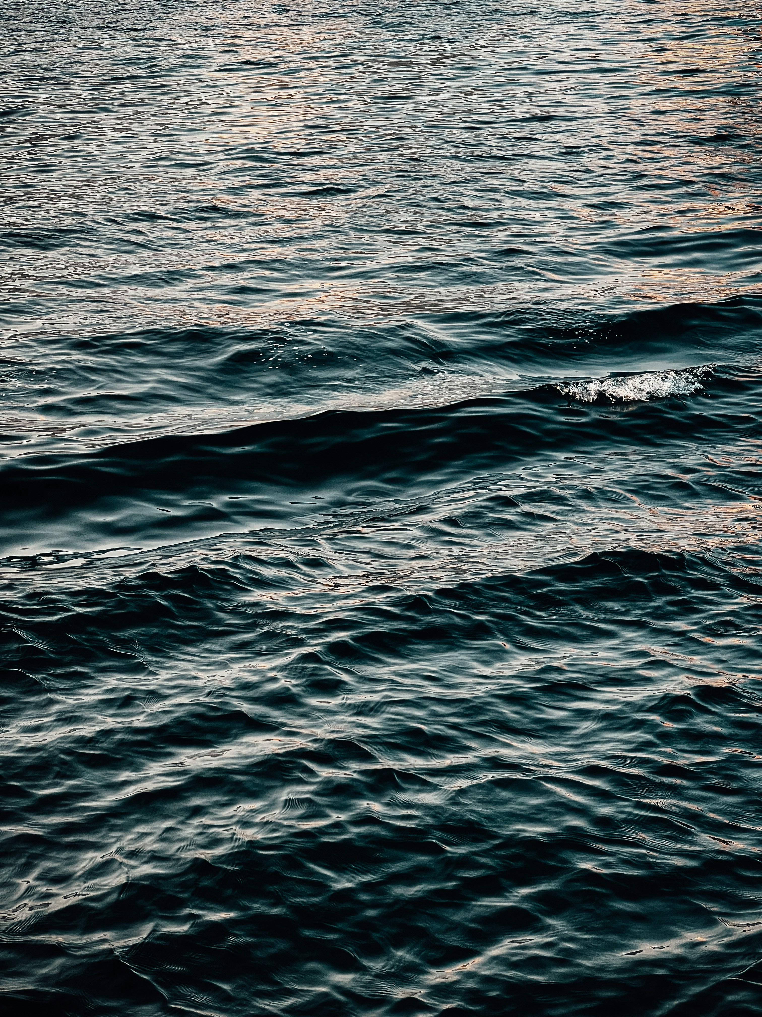 Photo by salman_sidheek