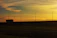 A sleek modern truck with Beylor branding driving on a highway at sunset.