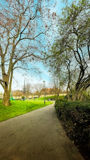 A serene park pathway lined with blooming flowers and tall trees under a clear sky.