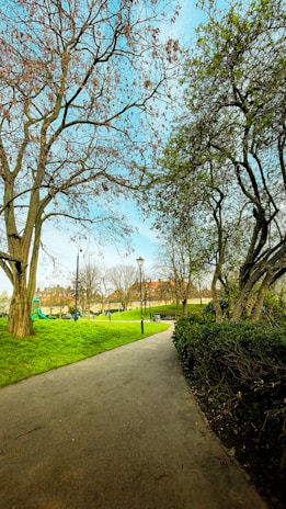 A serene park pathway lined with blooming flowers and tall trees under a clear sky.