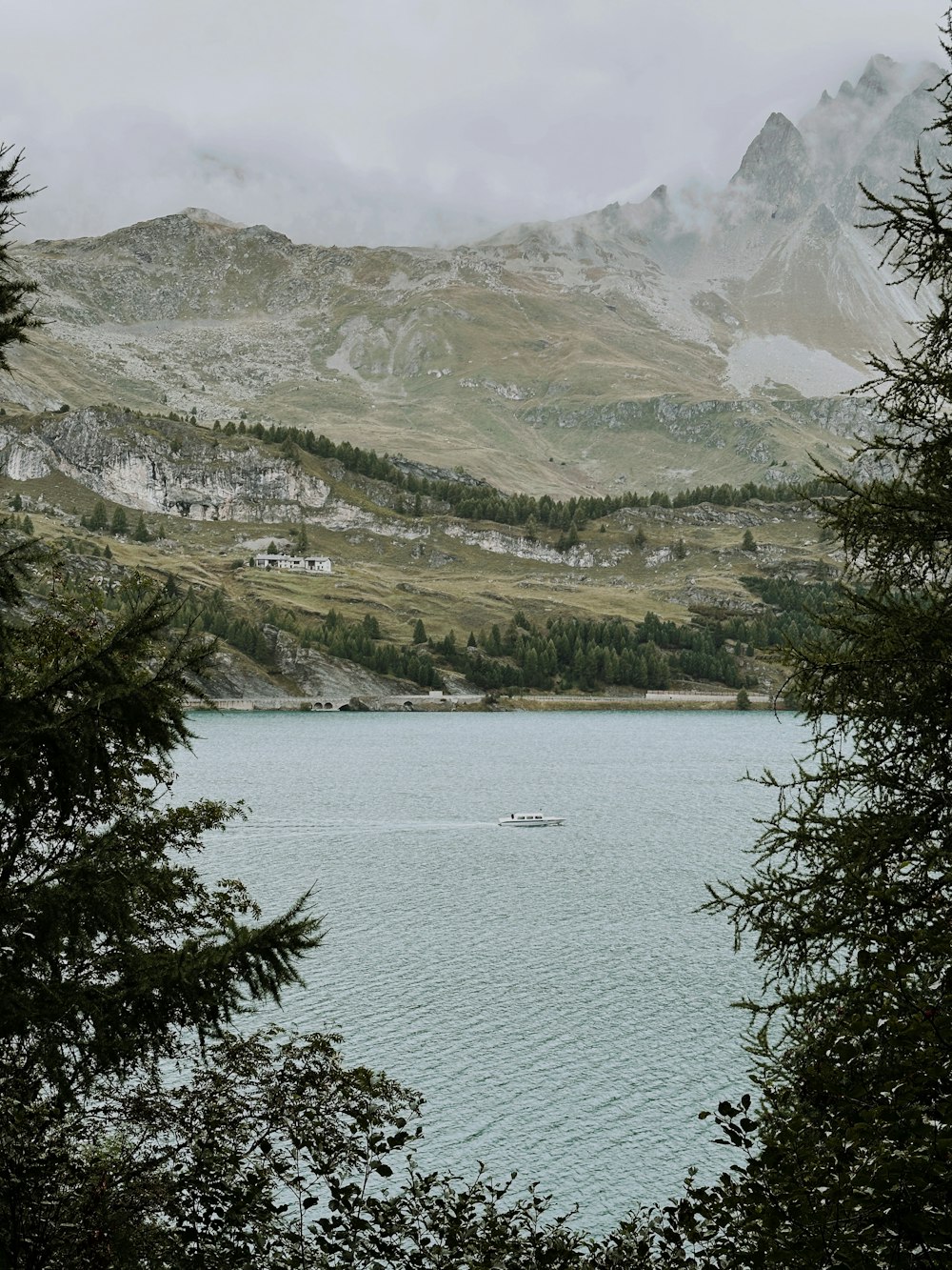 a body of water surrounded by trees and mountains