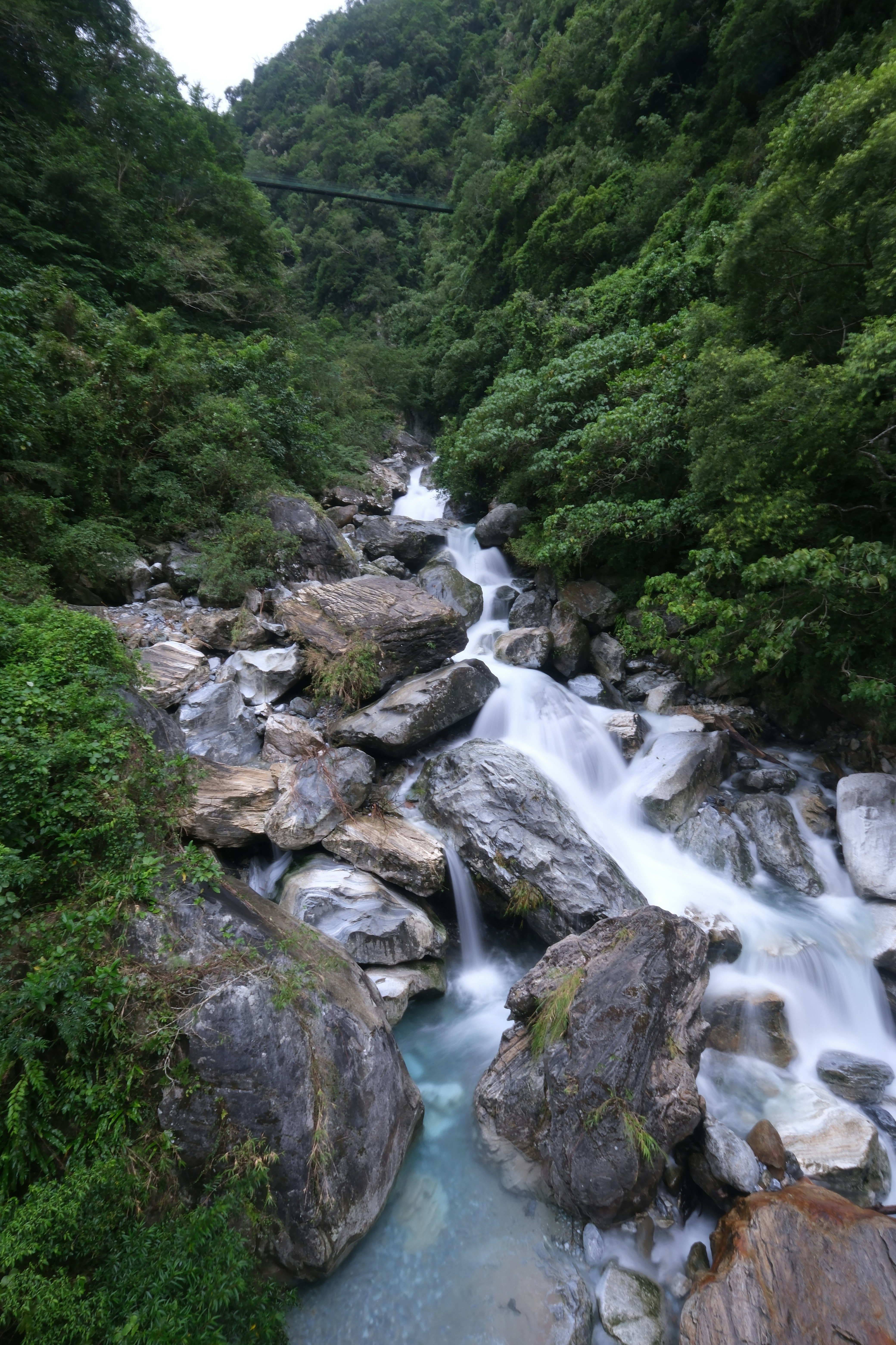 a river running through a lush green forest