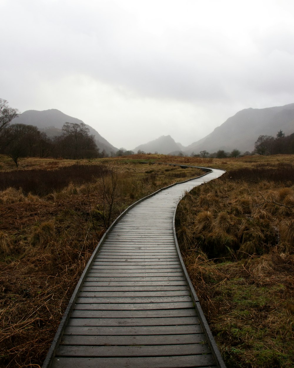 a wooden walkway in a field with mountains in the background