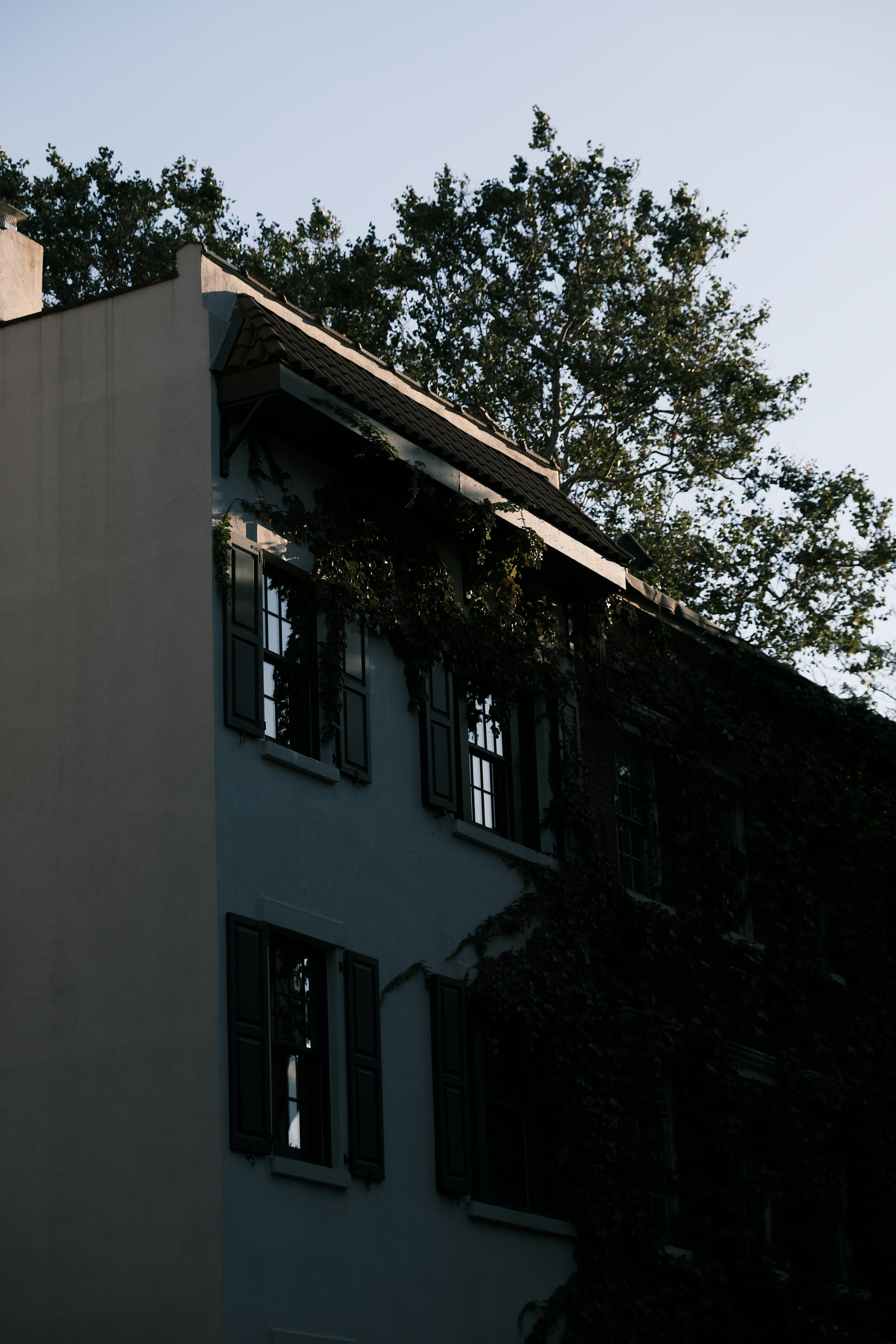 Photo by marinaliu185