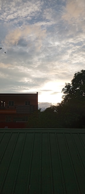 The image features a tranquil evening sky with a mix of clouds illuminated by the setting sun. Silhouettes of birds are seen flying near the horizon. In the foreground, there is a building with visible balconies, alongside lush green trees, both creating a serene urban-natural blend.