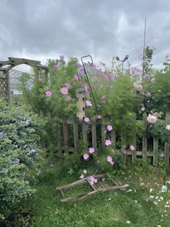 A wooden fence adorned with vibrant pink flowers stands amid a lush green garden. A bird feeder is attached to the fence, surrounded by foliage and blossoms. Blue and pink flowers grow in abundance, while an overcast sky looms above. A wooden trellis and a broken ladder rest near the fence.