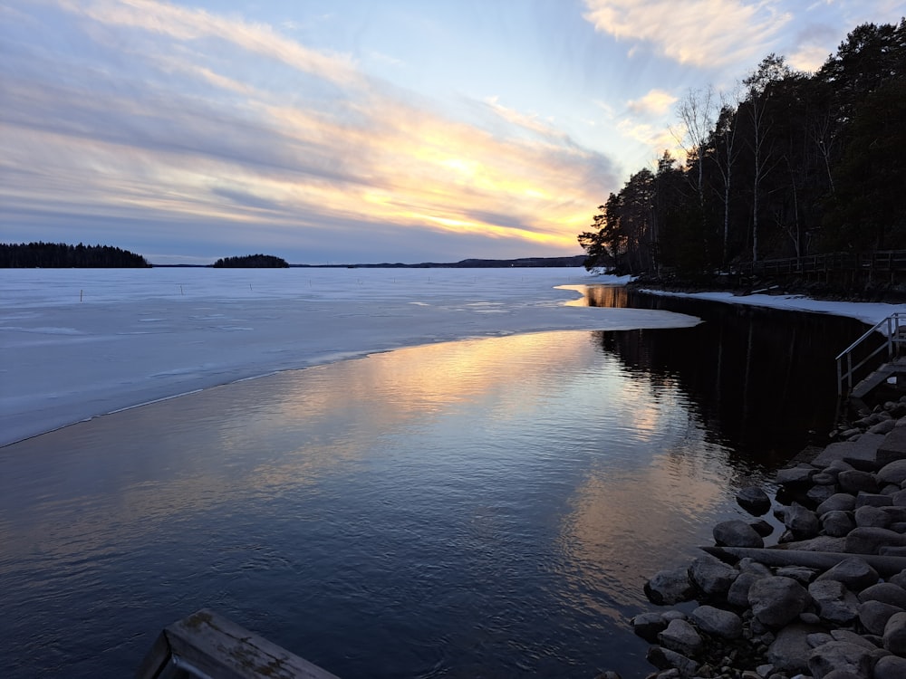 a body of water surrounded by trees and rocks