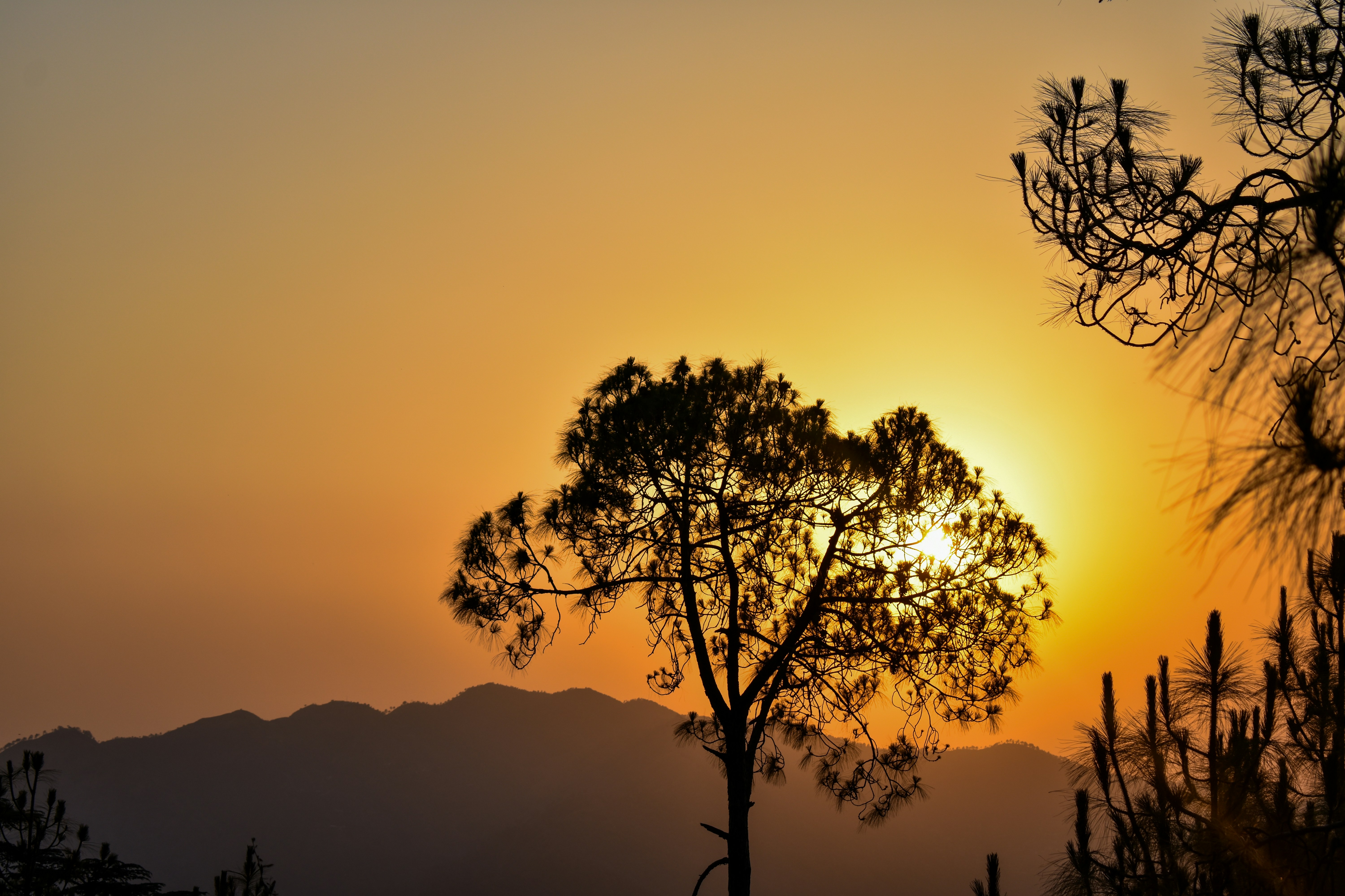 Photo by neelakshi_singh_