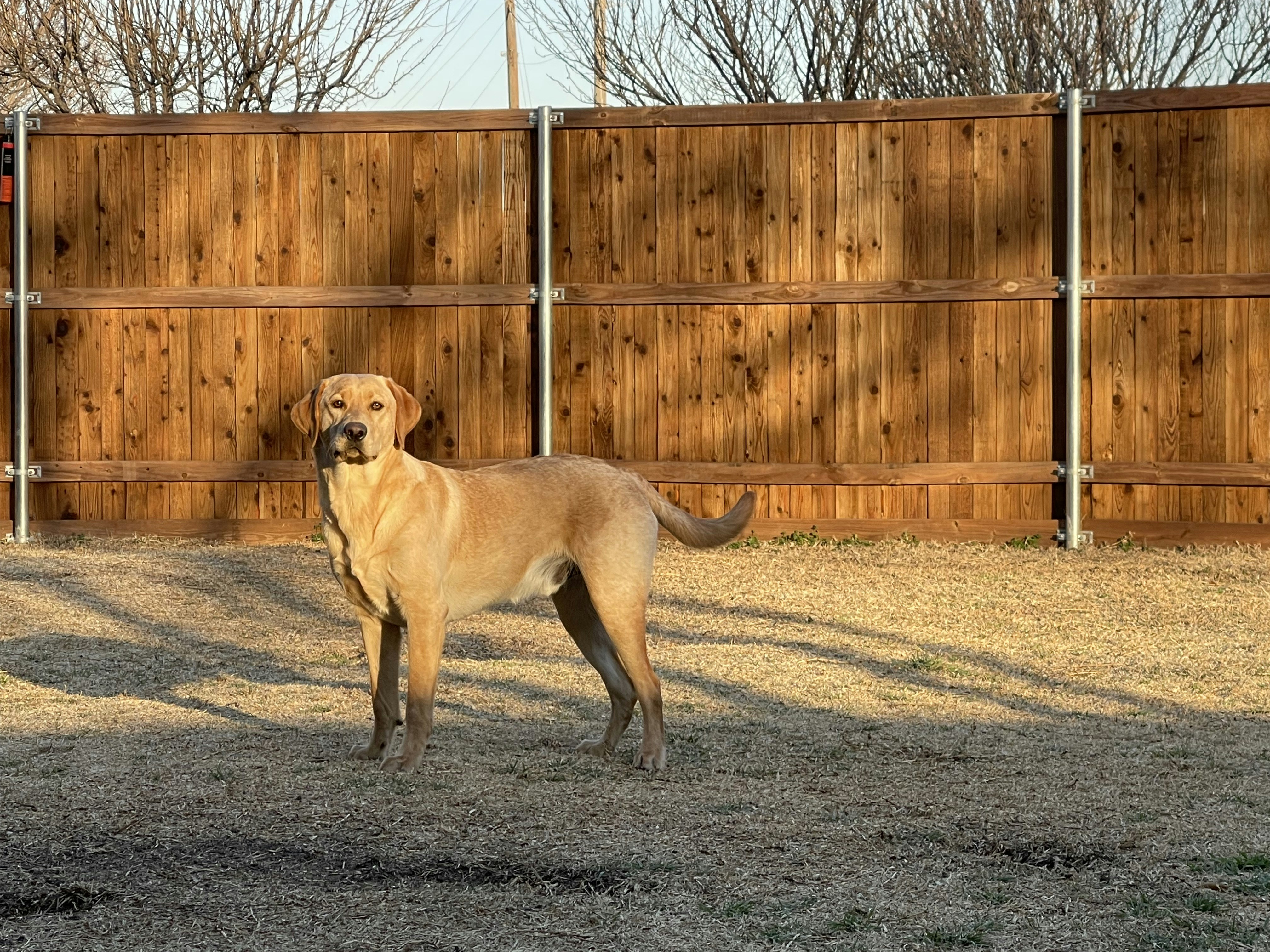 Photo by morganstyles