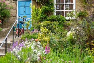 An inviting front yard with a turquoise-painted fence, vibrant flower beds, and a winding stone pathway.