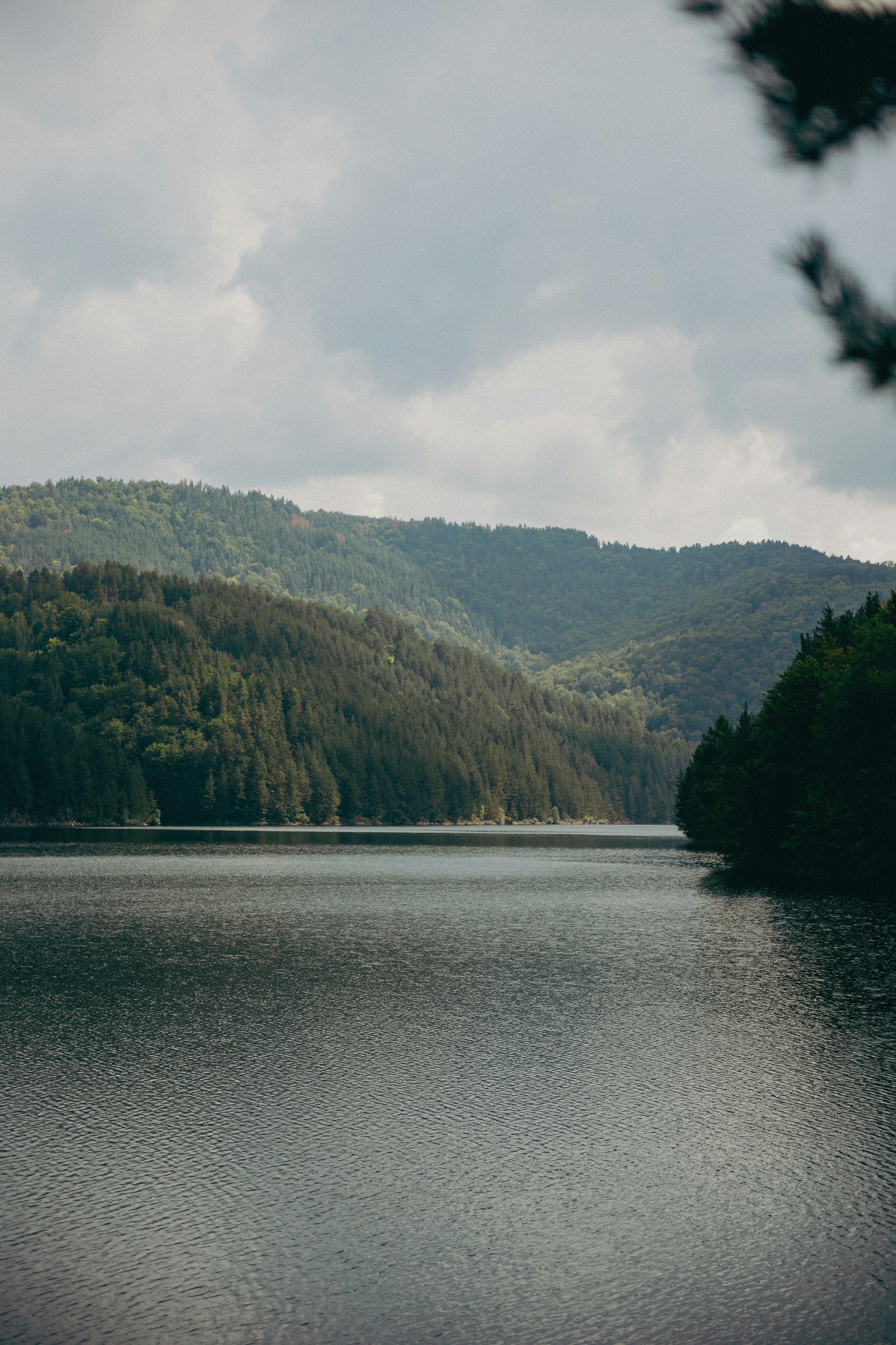 Photo by andreevaleksandar