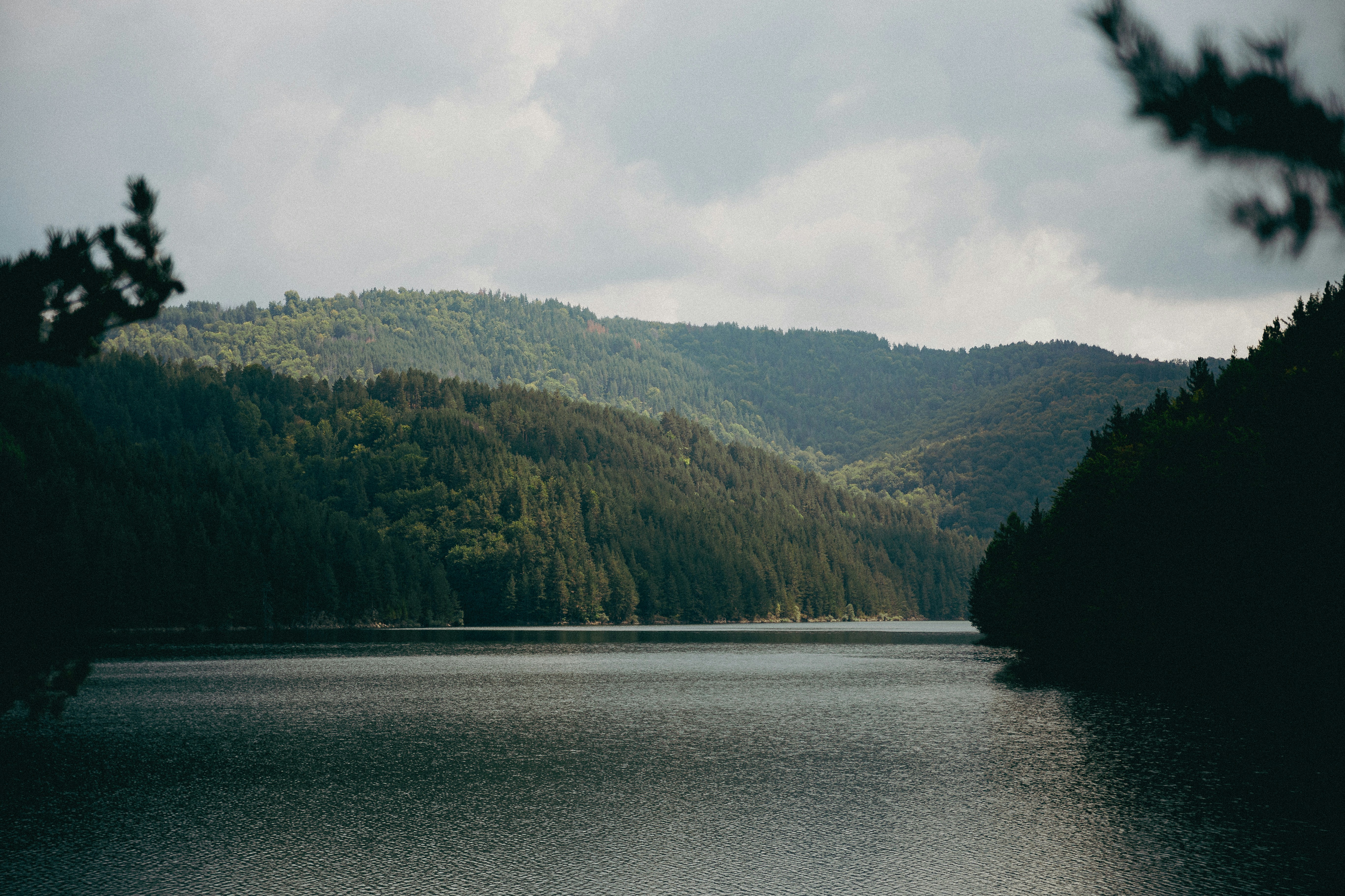 Photo by andreevaleksandar