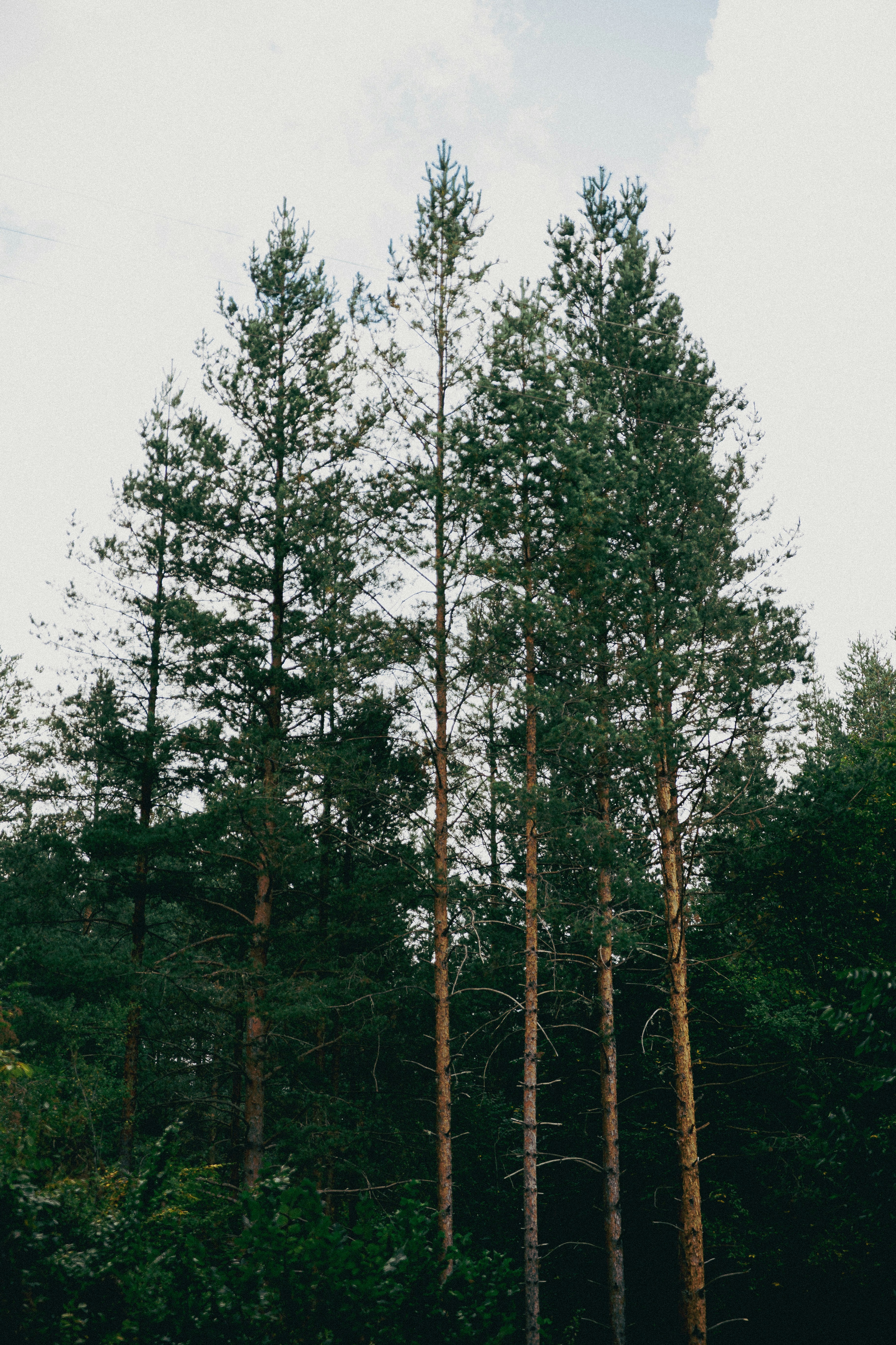 Photo by andreevaleksandar