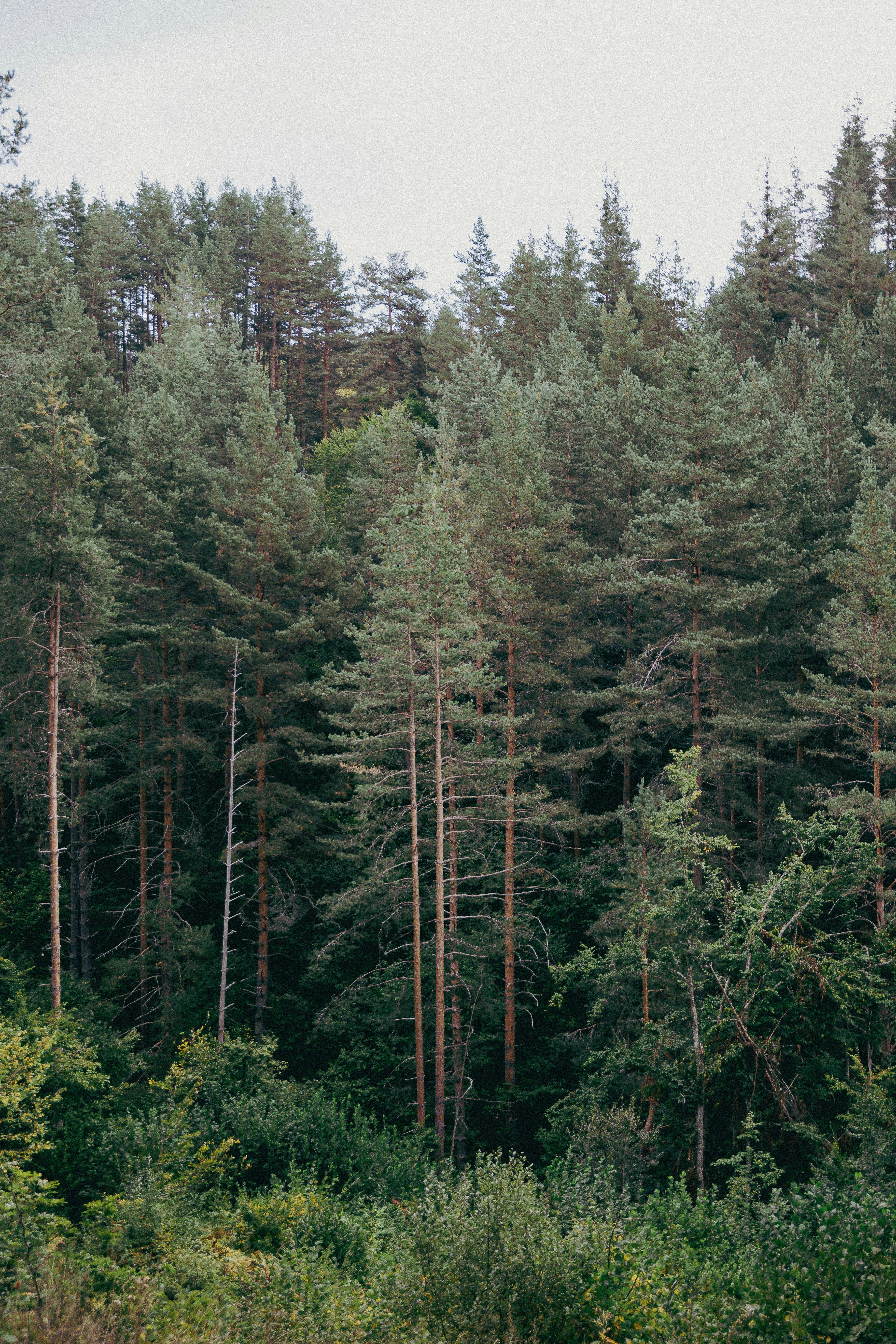 Photo by andreevaleksandar