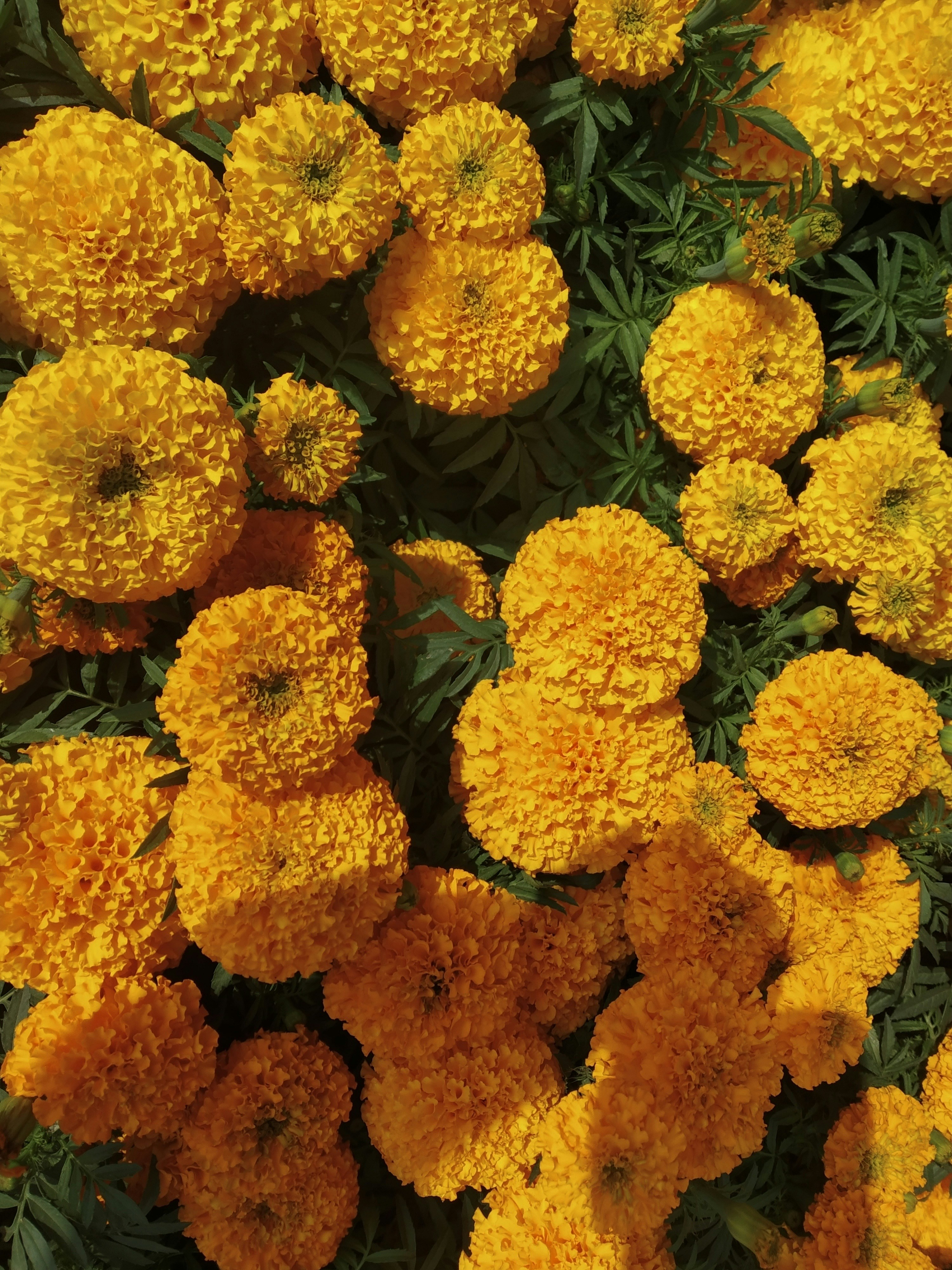 Photo by neelakshi_singh_