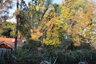 A lush garden with various trees and plants surrounds a red-tiled roof house. Tall bananas or fan palm trees are prominently visible. Yellow flowers bloom amidst the greenery. Multiple black utility wires are seen crossing the scene, adding a man-made element to the natural setting.