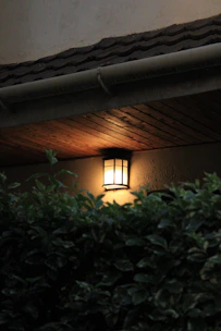 A sturdy outdoor wall sconce mounted beside a front door, glowing warmly in the evening.