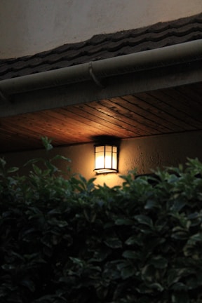An elegant outdoor wall lantern illuminating a garden pathway.