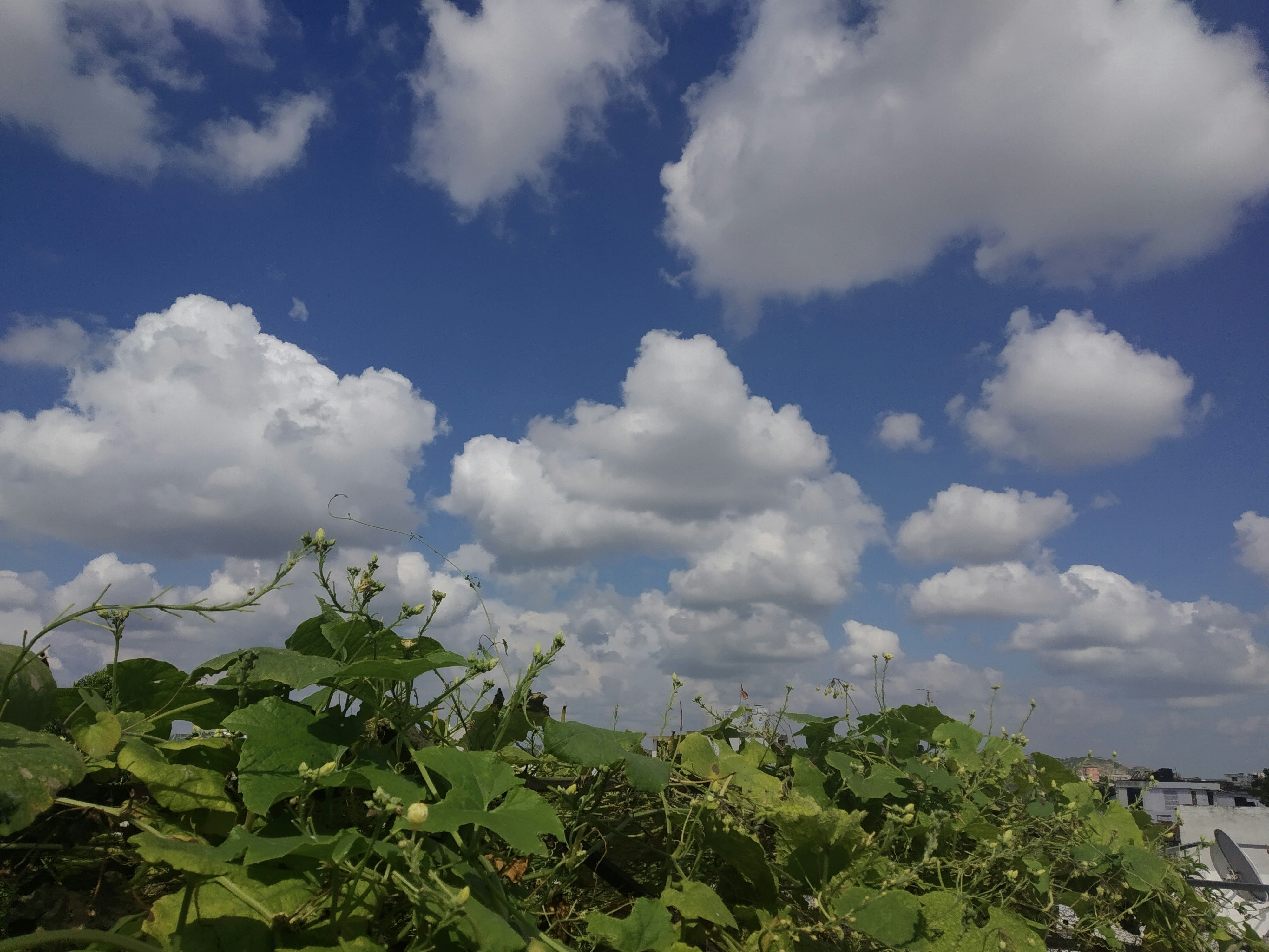 Photo by neelakshi_singh_