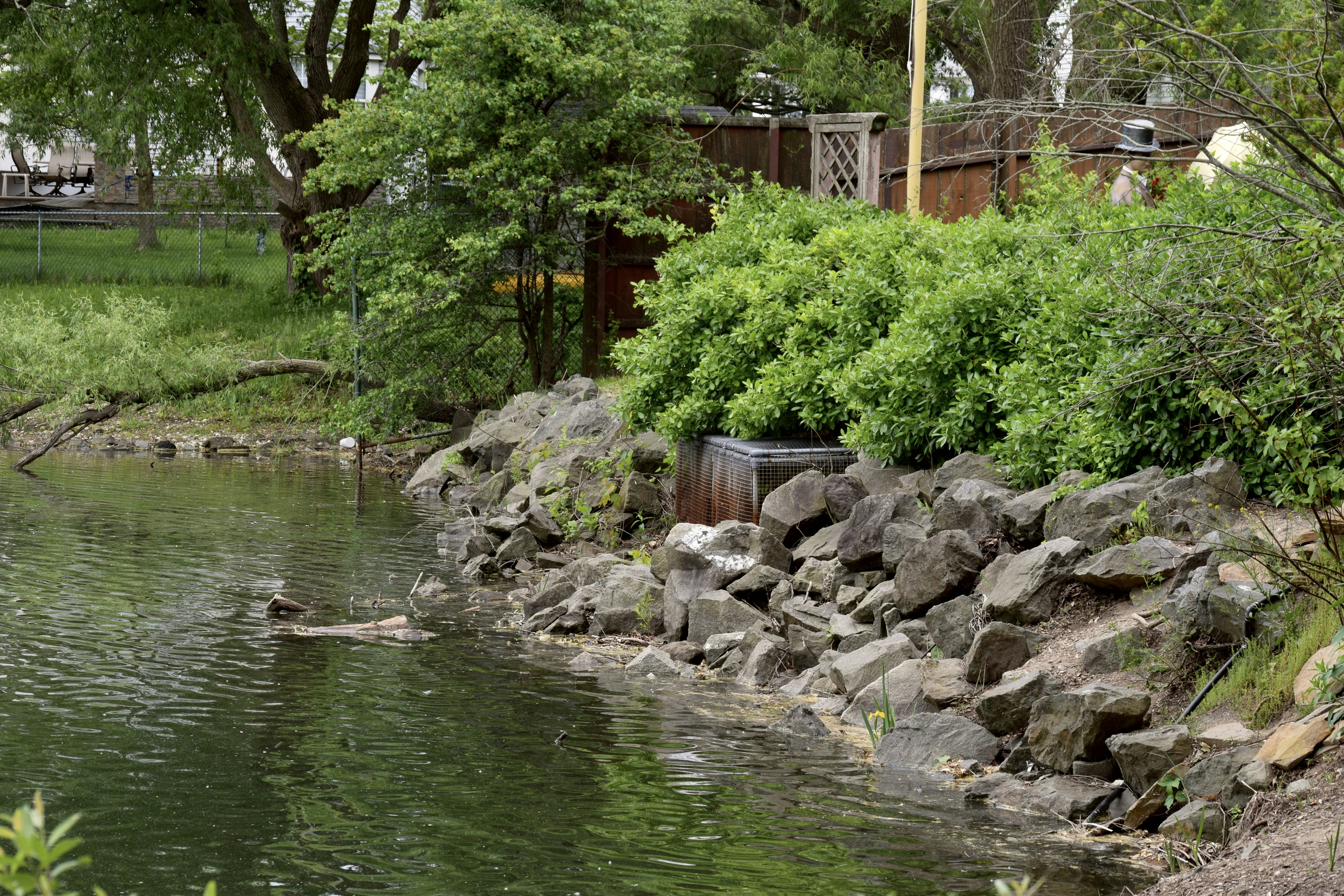 a pond surrounded by rocks and trees