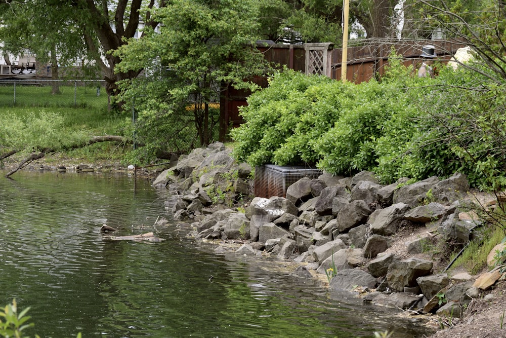 a pond surrounded by rocks and trees