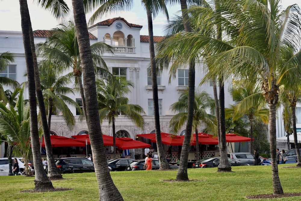 a large white building surrounded by palm trees