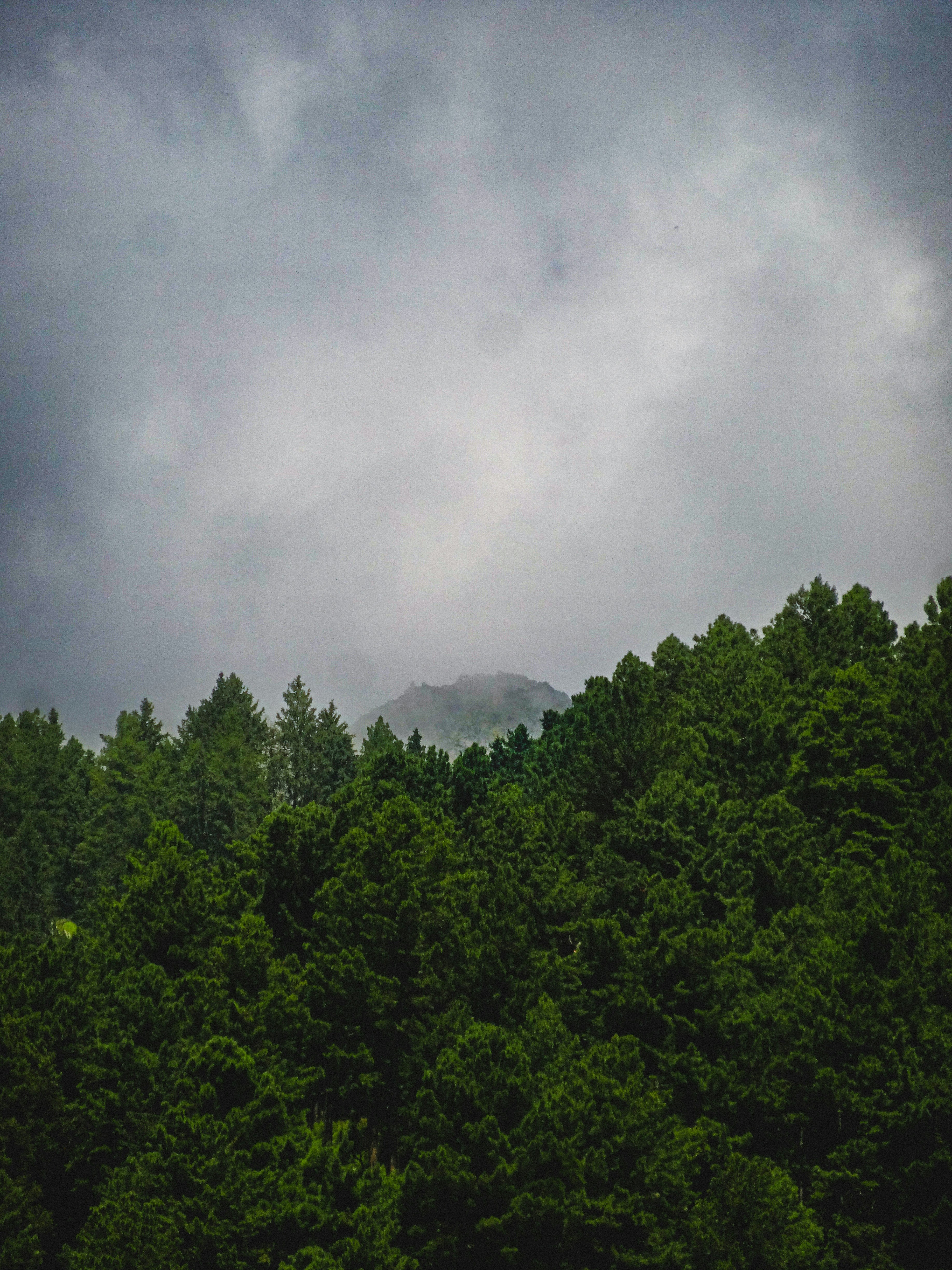 Photo by aayush_khokhar
