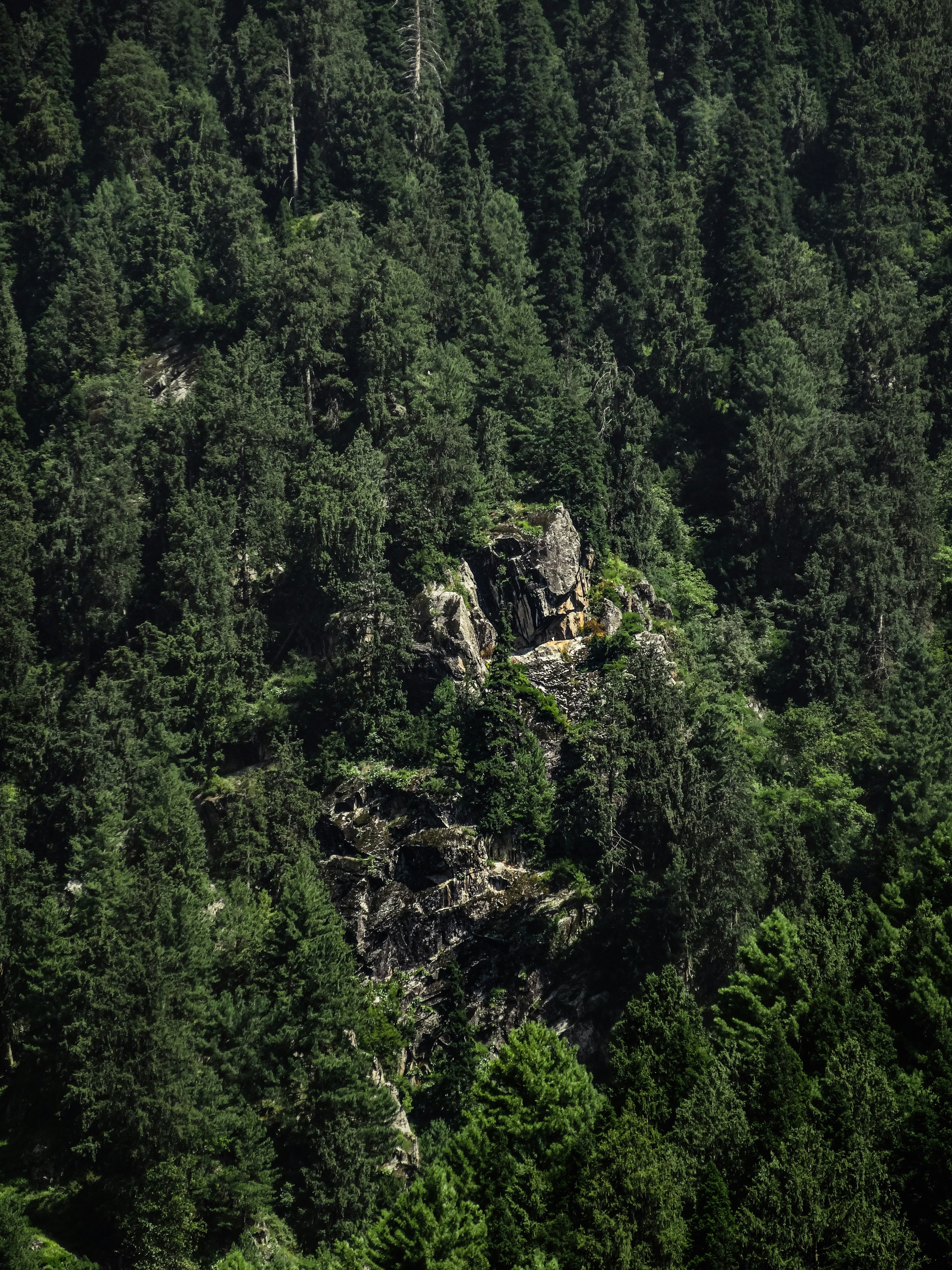 Photo by aayush_khokhar