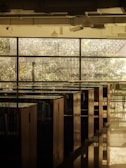 A serene library filled with sunlight and books.