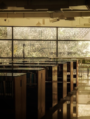A serene library filled with sunlight and books.